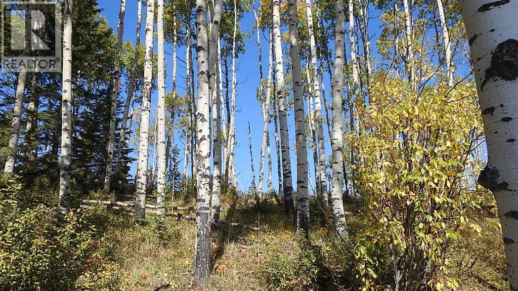 RURAL FOOTHILLS COUNTY, Alberta, T0L 1K0, CA, ,Residential,For Sale,1947264