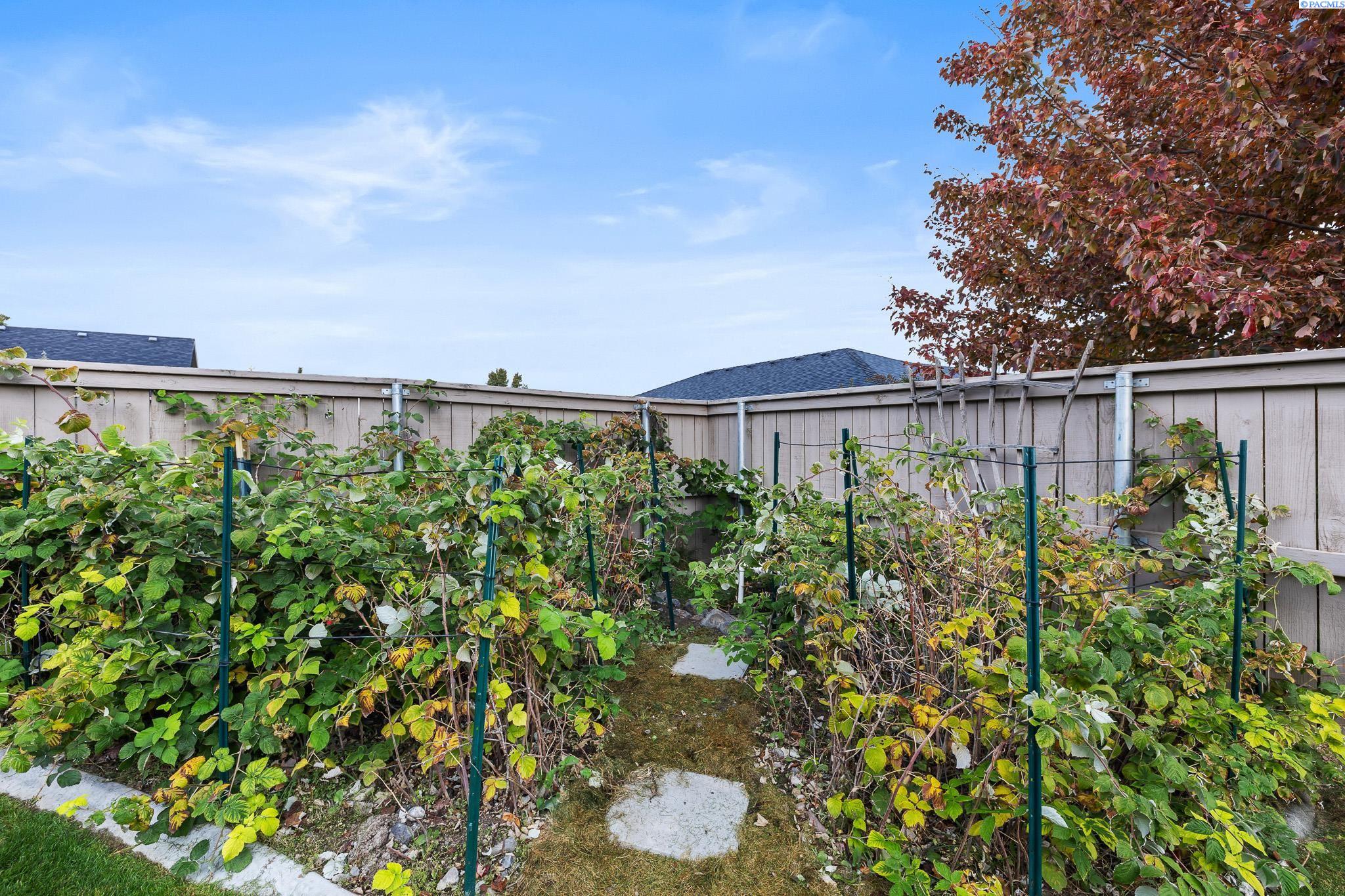 Kennewick, Washington, 99338, United States, 4 Bedrooms Bedrooms, ,3 BathroomsBathrooms,Residential,For Sale,1982934