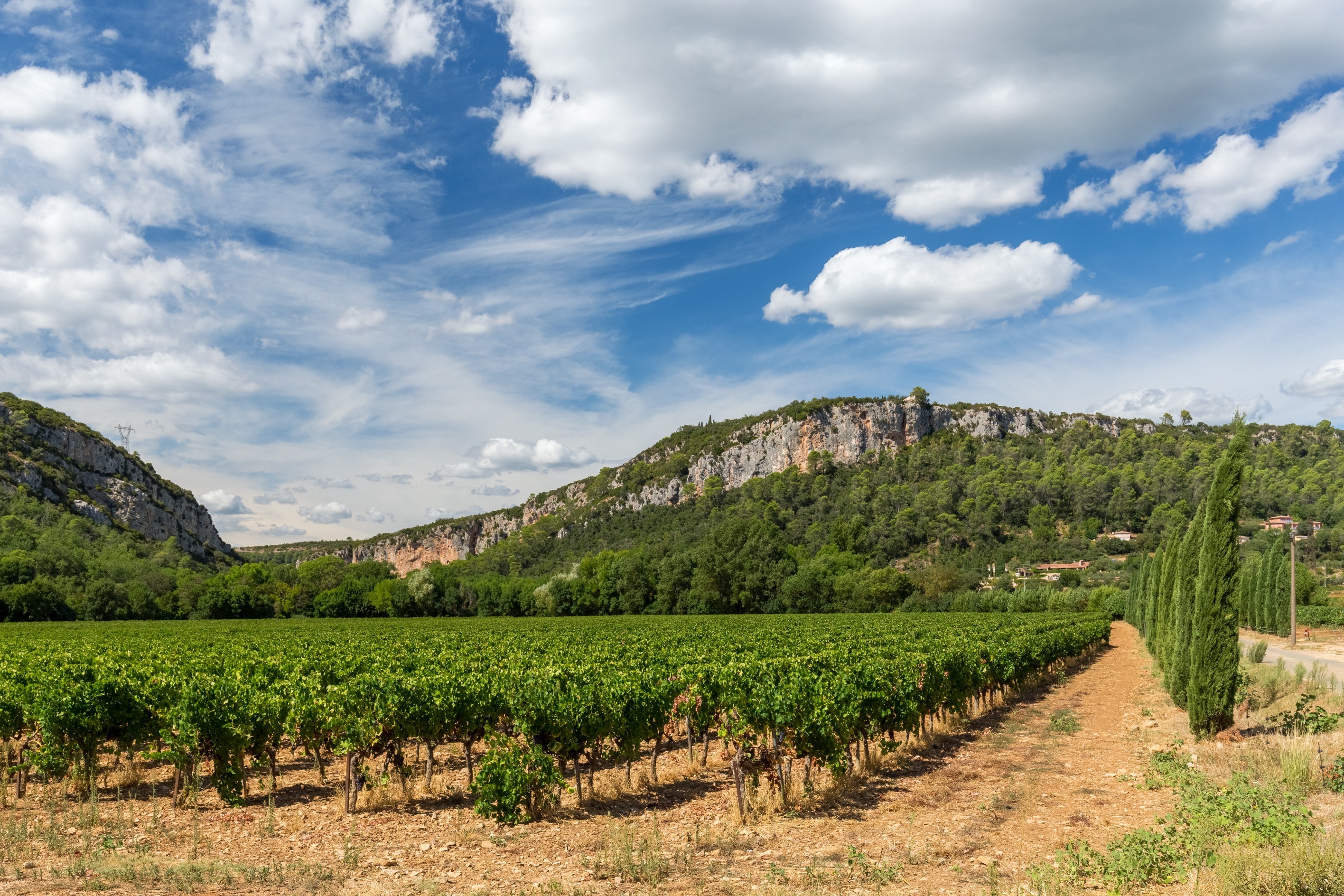  Rare Opportunity: 70-Hectare Wine Estate in Provence - 物件實景