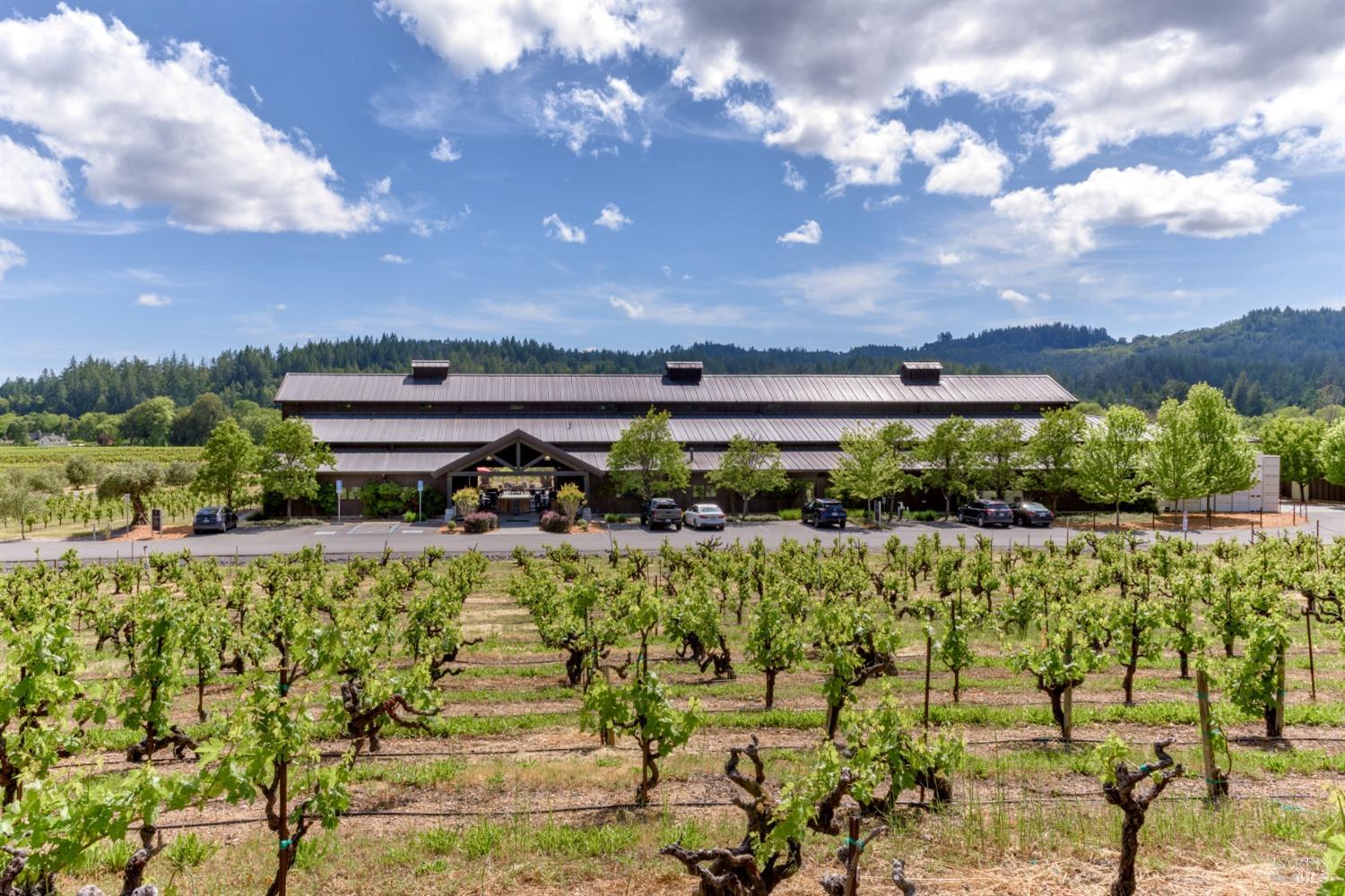 1290 Dry Creek Road, Healdsburg, California, 95448, United States, 4 Bedrooms Bedrooms, ,6 BathroomsBathrooms,Residential,For Sale,1290 Dry Creek Road,1621886