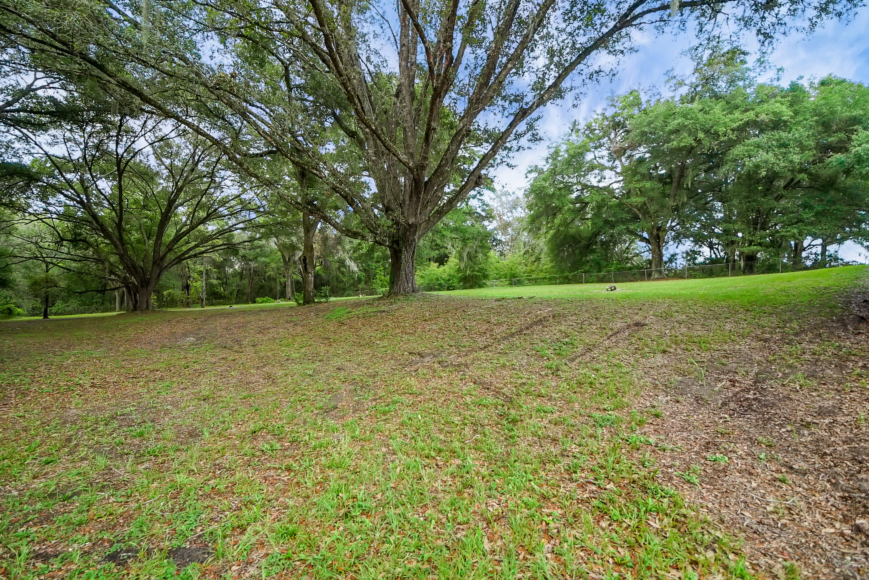Lady Lake, Florida, 32159, United States, 4 Bedrooms Bedrooms, ,2 BathroomsBathrooms,Residential,For Sale,1873535