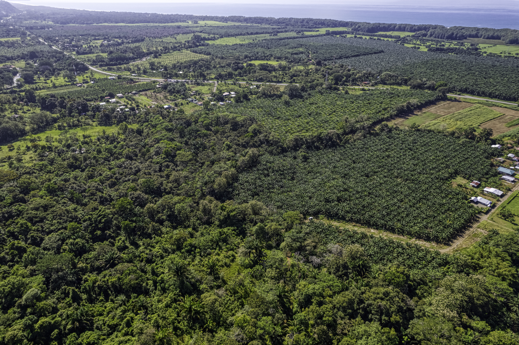 Portalon, Dominical, Puntarenas, CR, ,Land,For Sale,Portalon,1586164