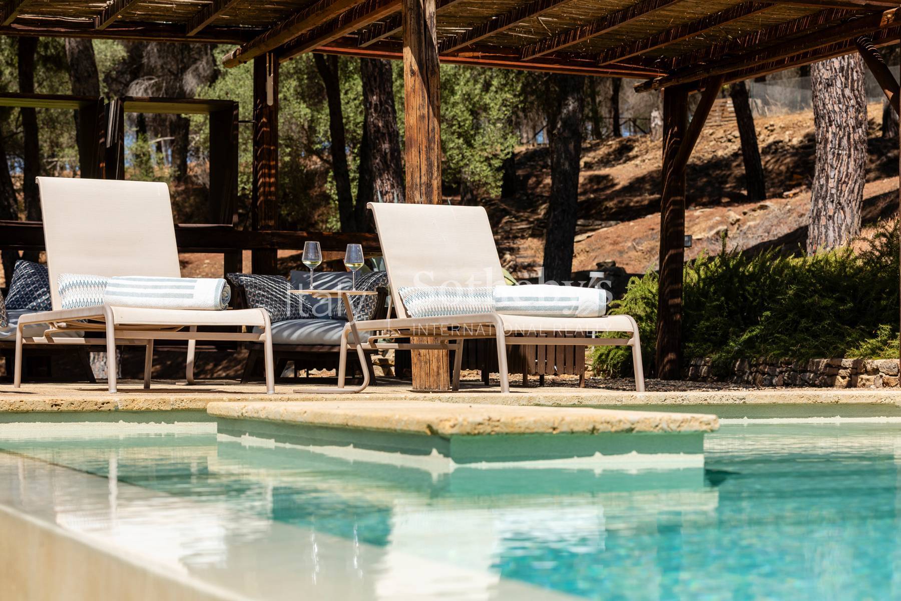  Old villa with swimming pool, dépendance, and private pine forest - 物件實景