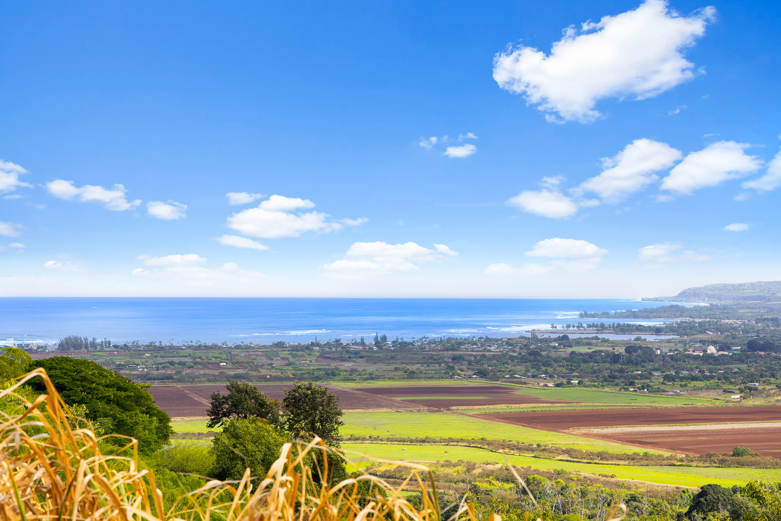  Waialua, Coastline, Ocean views - 物件實景