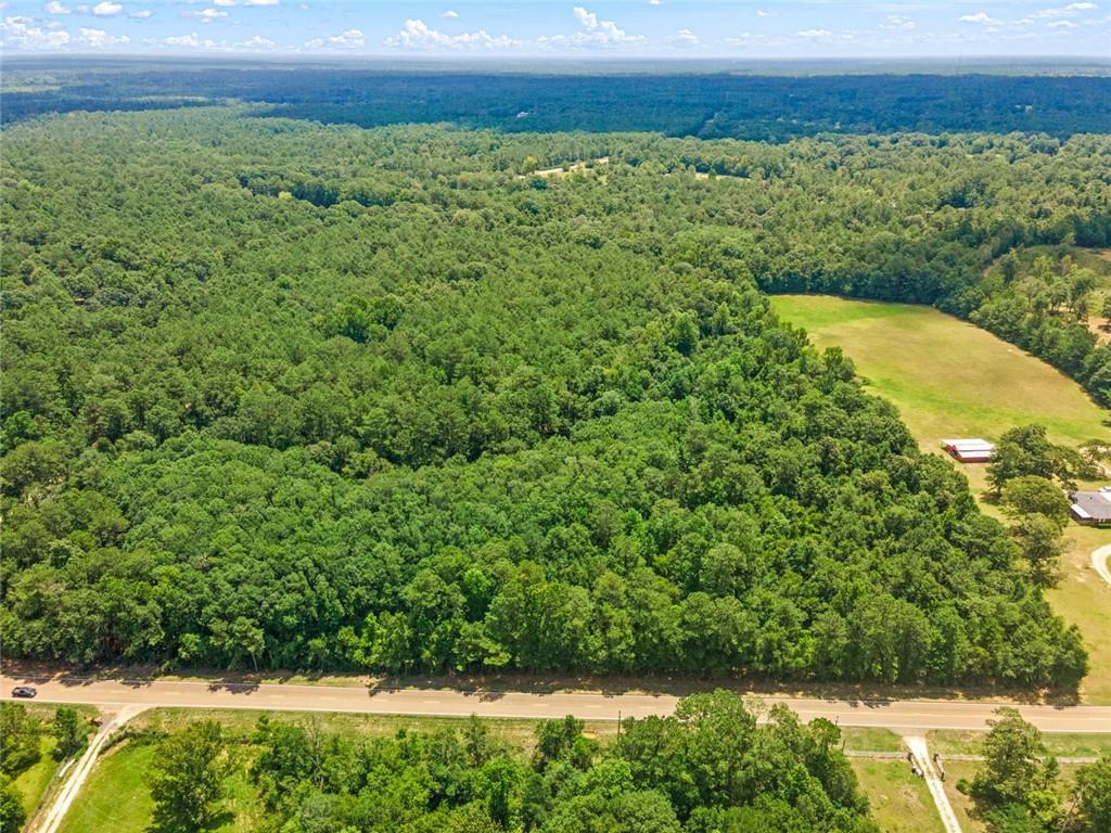 Bush, Louisiana, 70431, United States, ,Land,For Sale,1987560