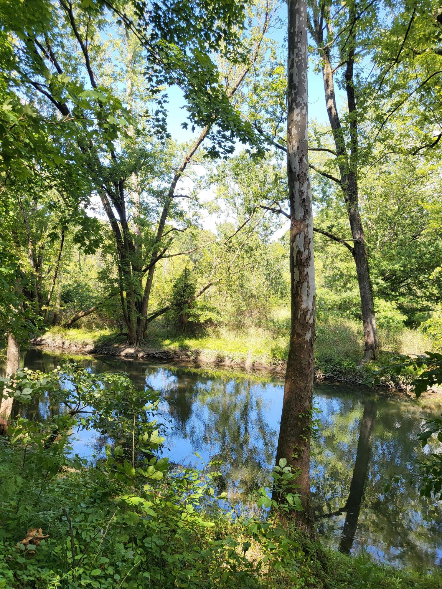 Union Pier, Michigan, 49129, United States, ,Land,For Sale,1988293