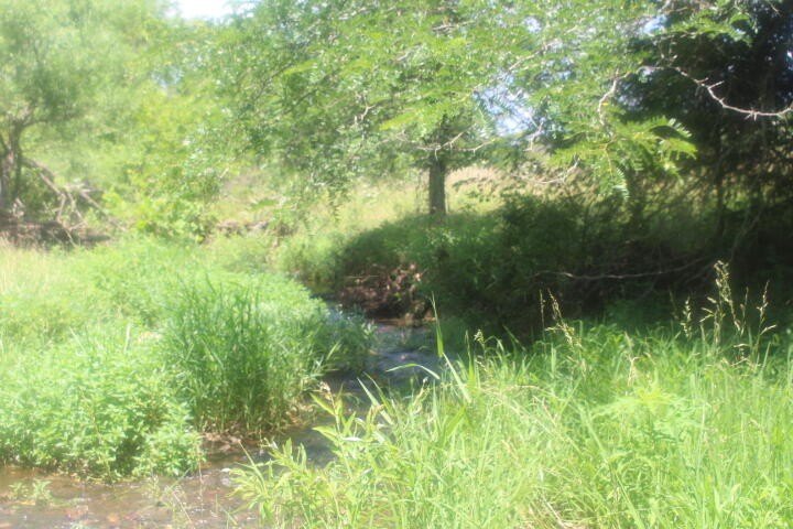 Polk, Missouri, 65727, United States, ,Land,For Sale,1980569