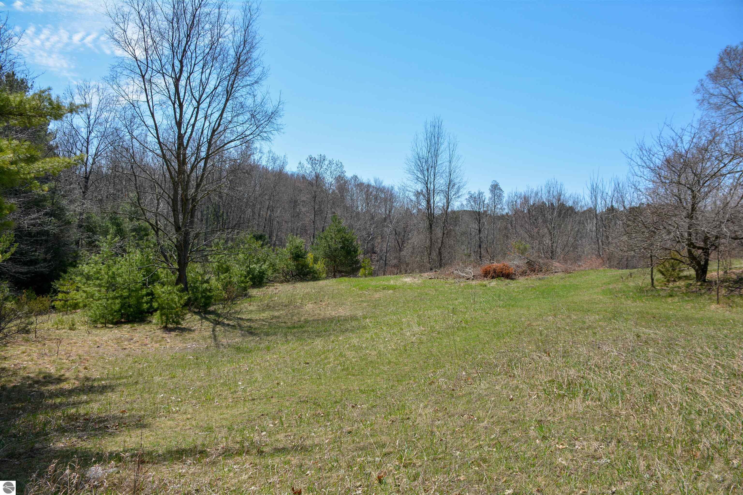 Traverse City, Michigan, 49696, United States, ,Land,For Sale,1850292