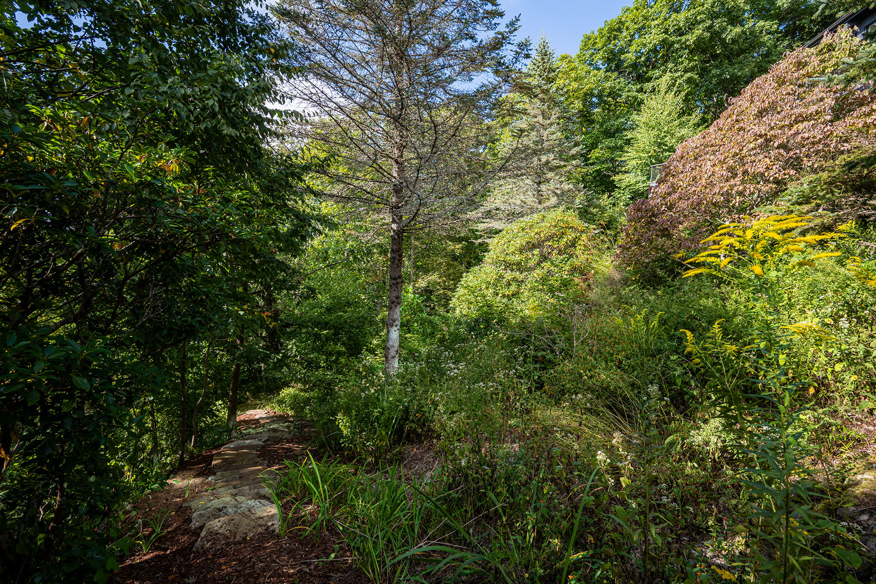  ASHEVILLE - 物件實景