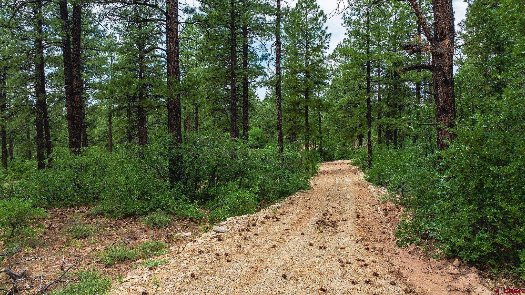 Mancos, Colorado, 81328, United States, 3 Bedrooms Bedrooms, ,4 BathroomsBathrooms,Residential,For Sale,1978860