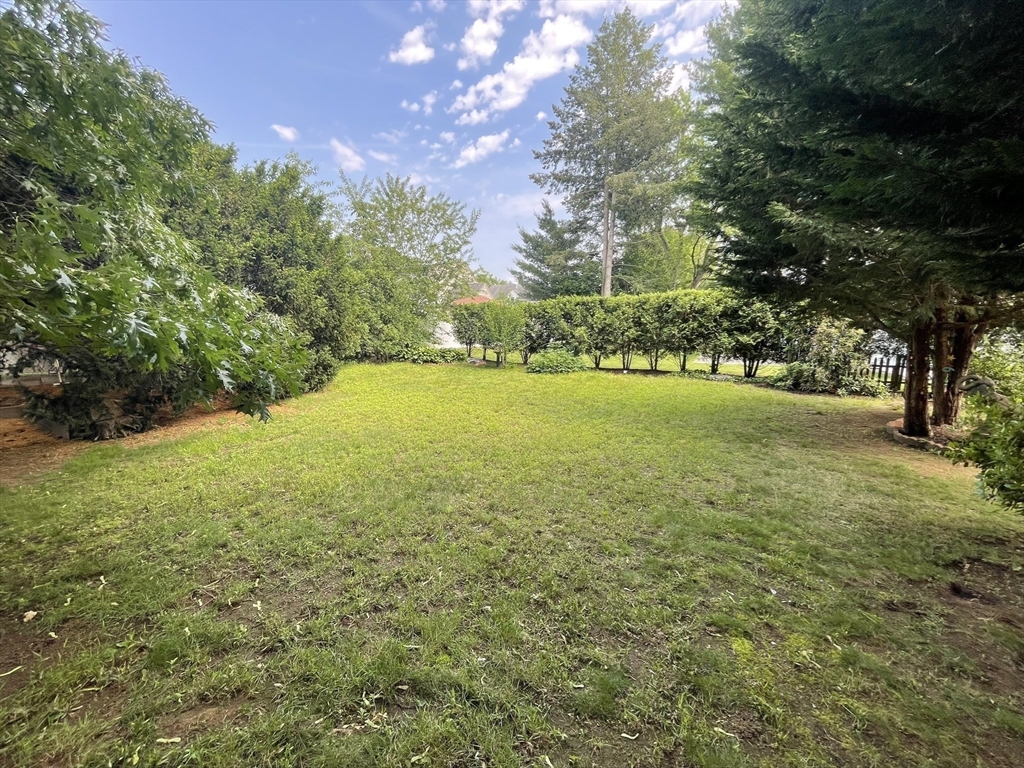 Newton, Massachusetts, 02465, United States, 3 Bedrooms Bedrooms, ,2 BathroomsBathrooms,Residential,For Sale,1804588