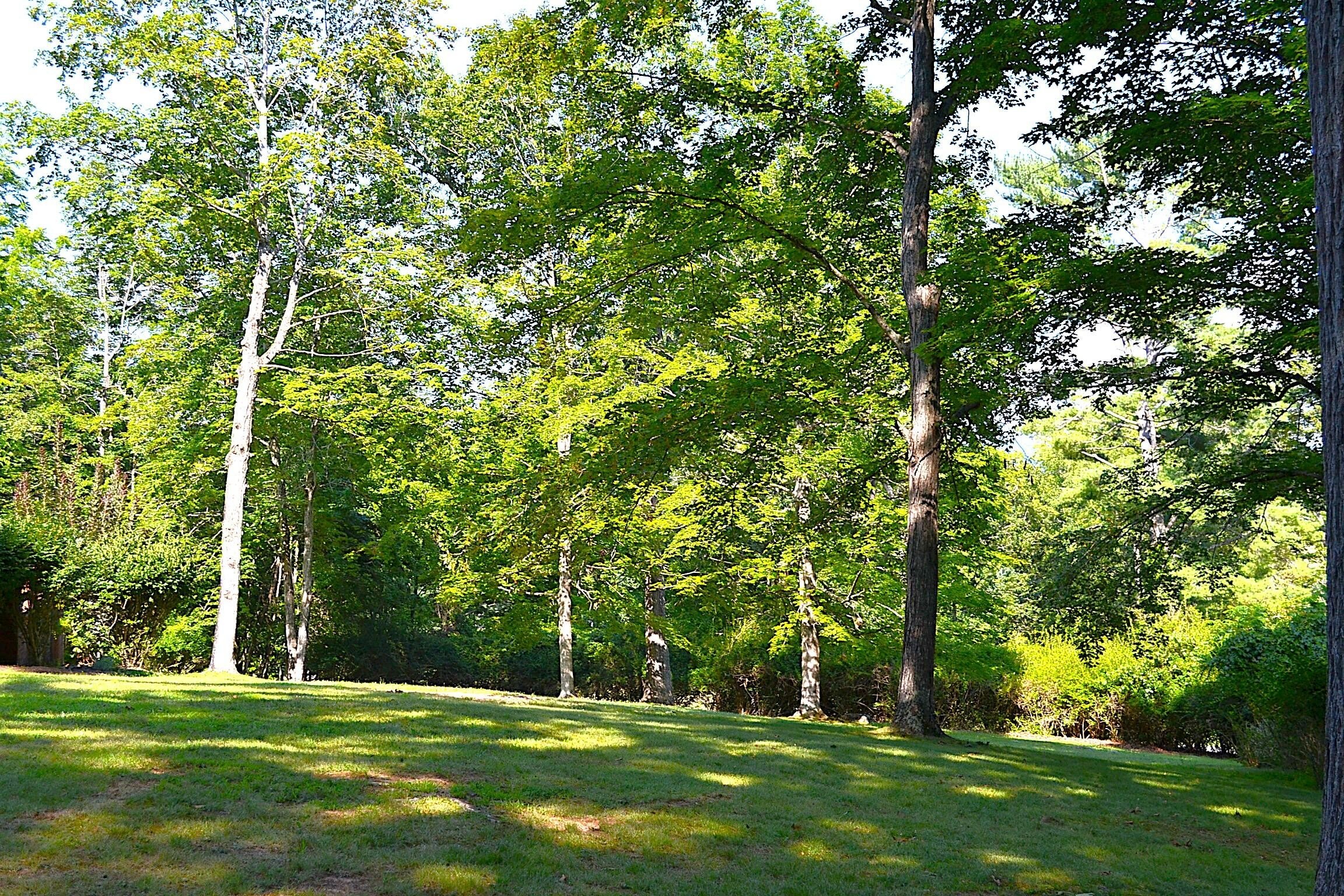 Lewisburg, West Virginia, 24901, United States, 6 Bedrooms Bedrooms, ,3 BathroomsBathrooms,Residential,For Sale,1940620