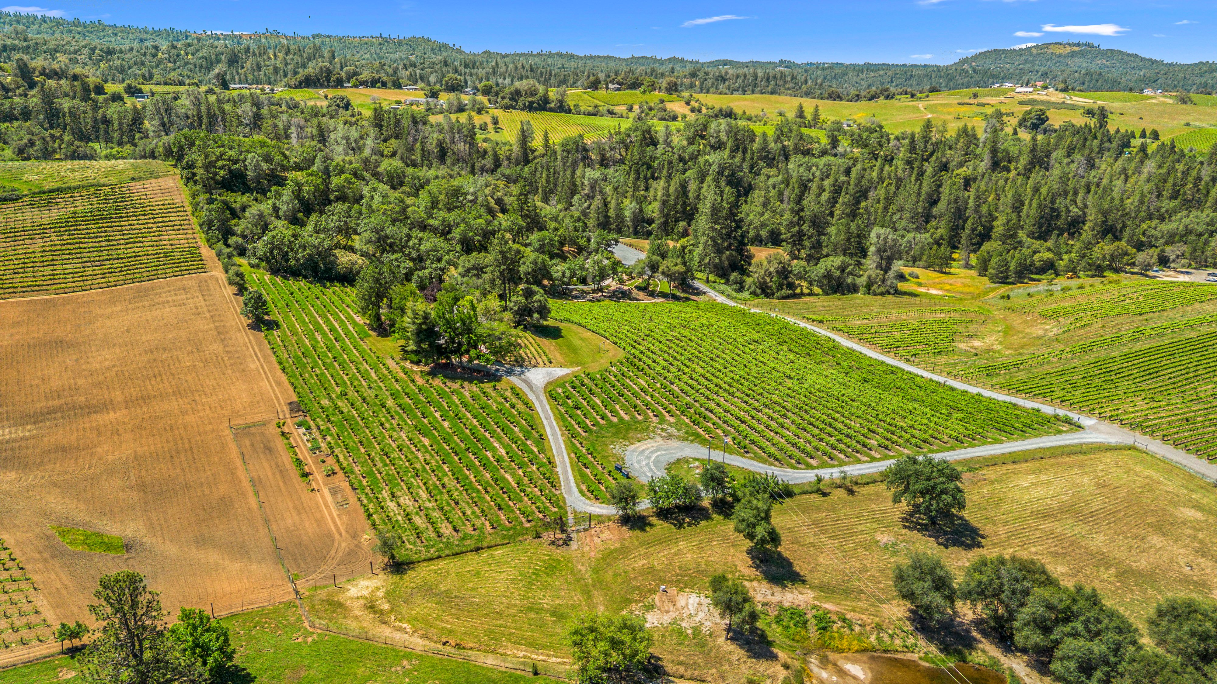  7460 Fairplay Road, Somerset, CA 95684 - 物件實景