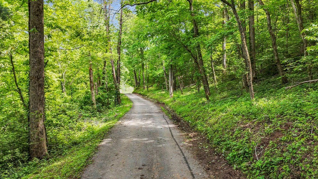 Blairsville, Georgia, 30512, United States, ,Residential,For Sale,1824066