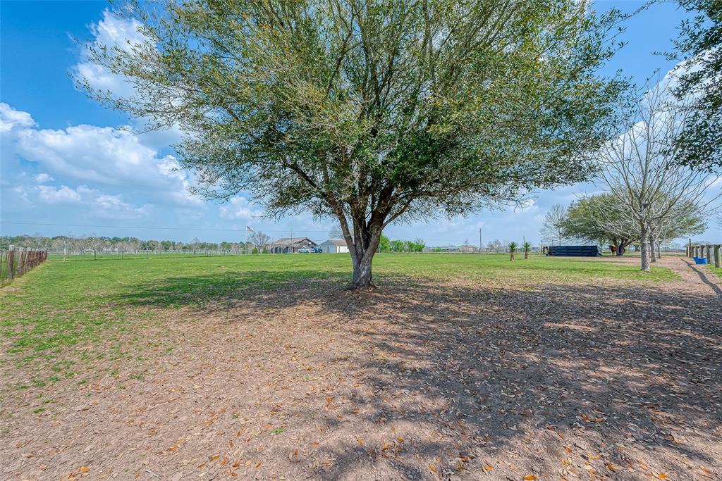 Waller, Texas, 77484, United States, 3 Bedrooms Bedrooms, ,3 BathroomsBathrooms,Residential,For Sale,1905585