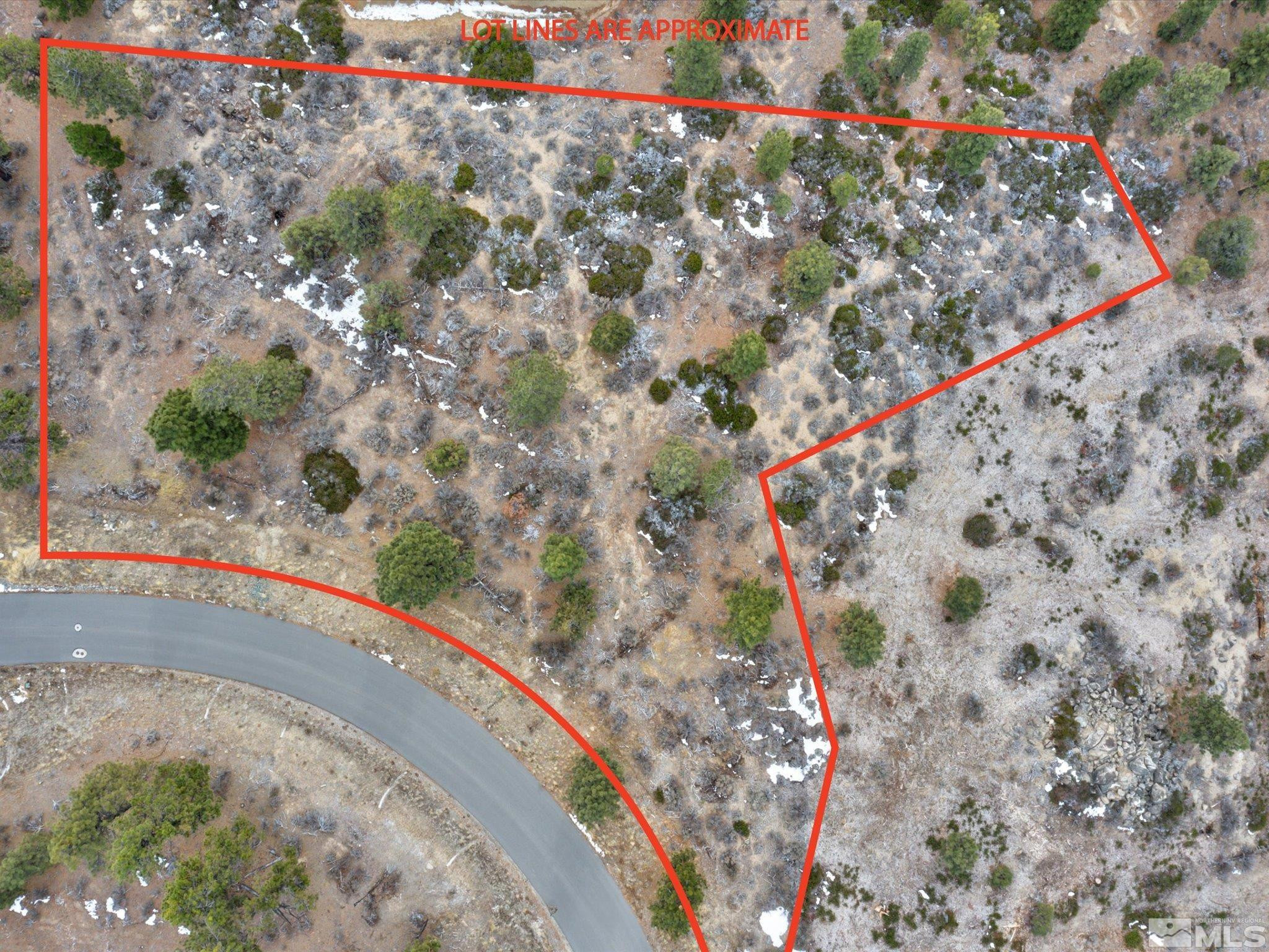 Carson City, Nevada, 89705, United States, ,Land,For Sale,1828130