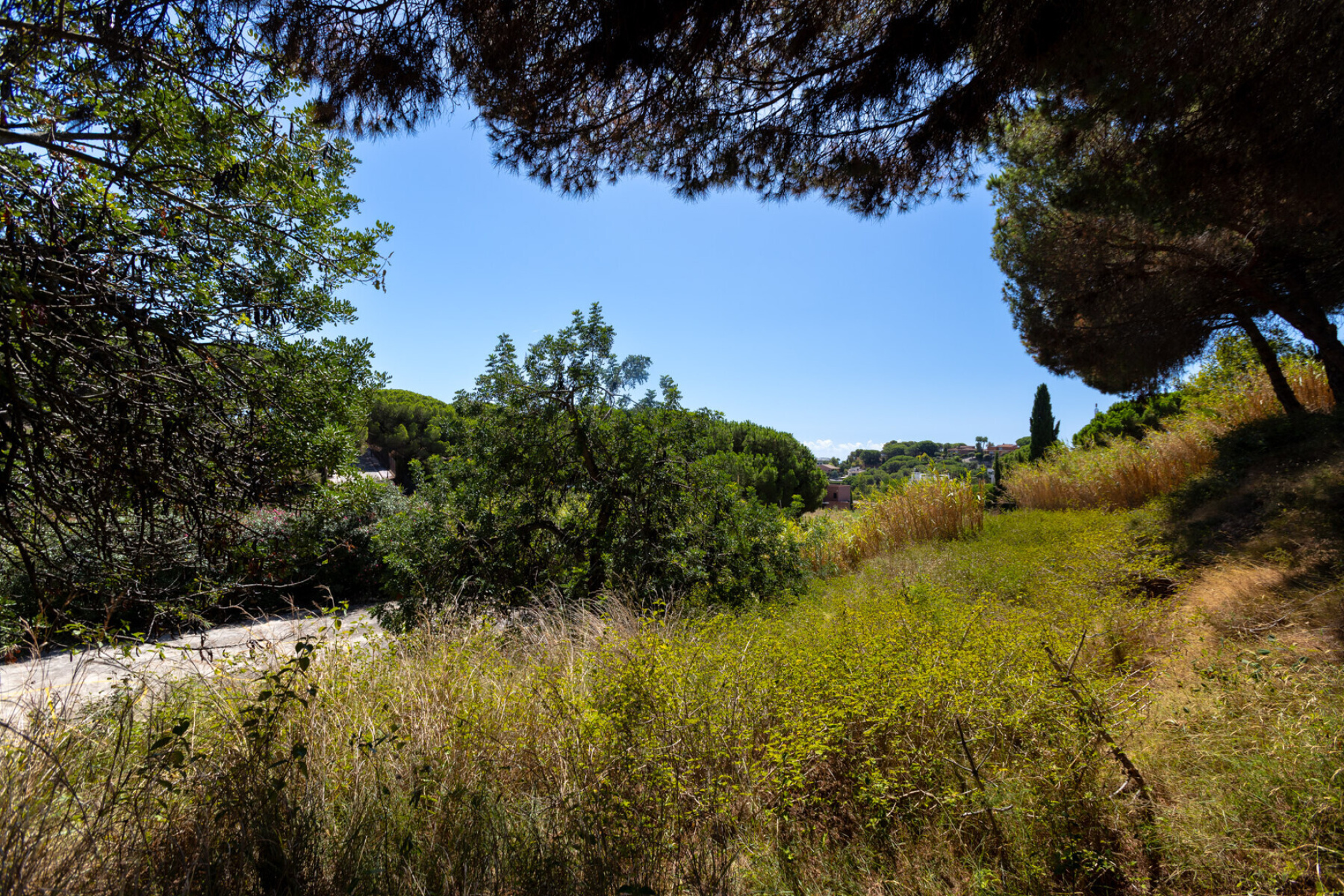  Two adjoining plots in Rocaferrera, Sant Andreu de Llavaneres - Costa BCN - 物件實景