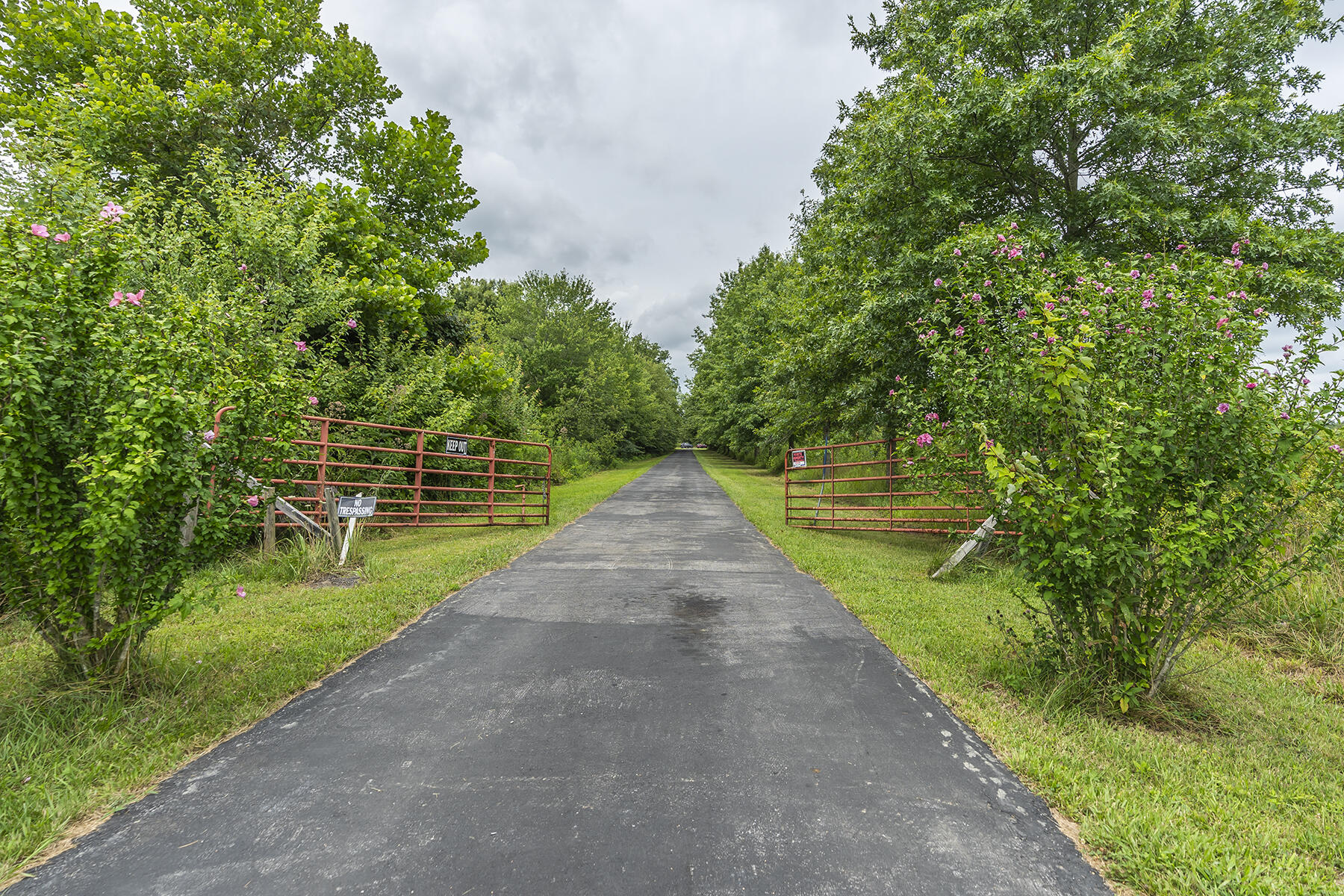 Jeffersonville, Kentucky, 40337, United States, 5 Bedrooms Bedrooms, ,4 BathroomsBathrooms,Residential,For Sale,1989610
