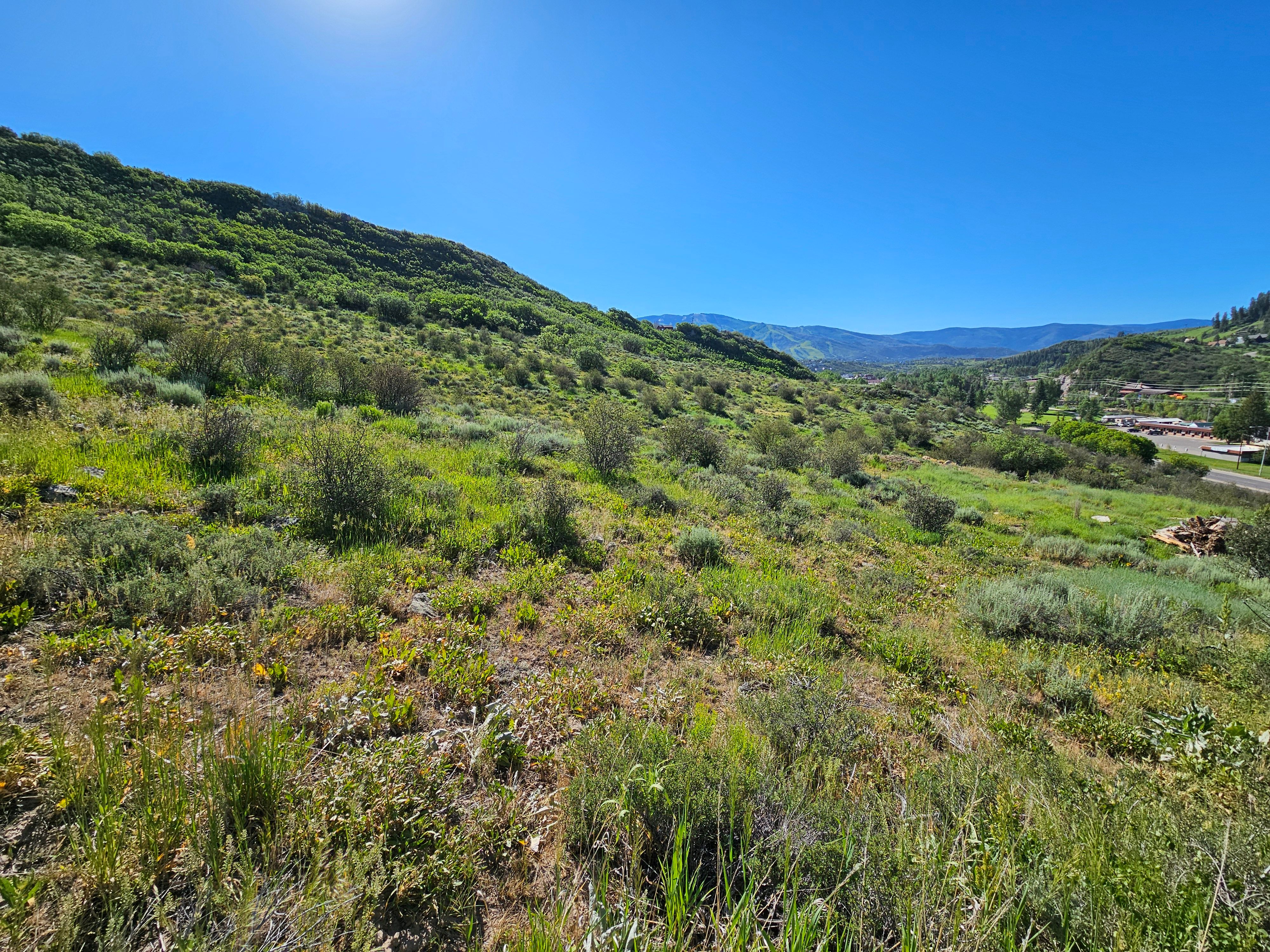  1327 Indian Trail, Steamboat Springs, CO, 80487 - 物件實景
