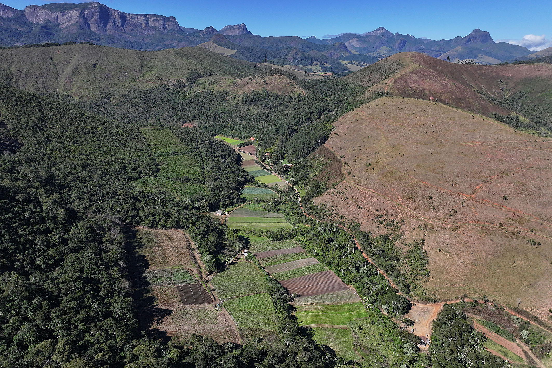  Productive estate spanning 865 acres in the mountains of Teresópolis - 物件實景