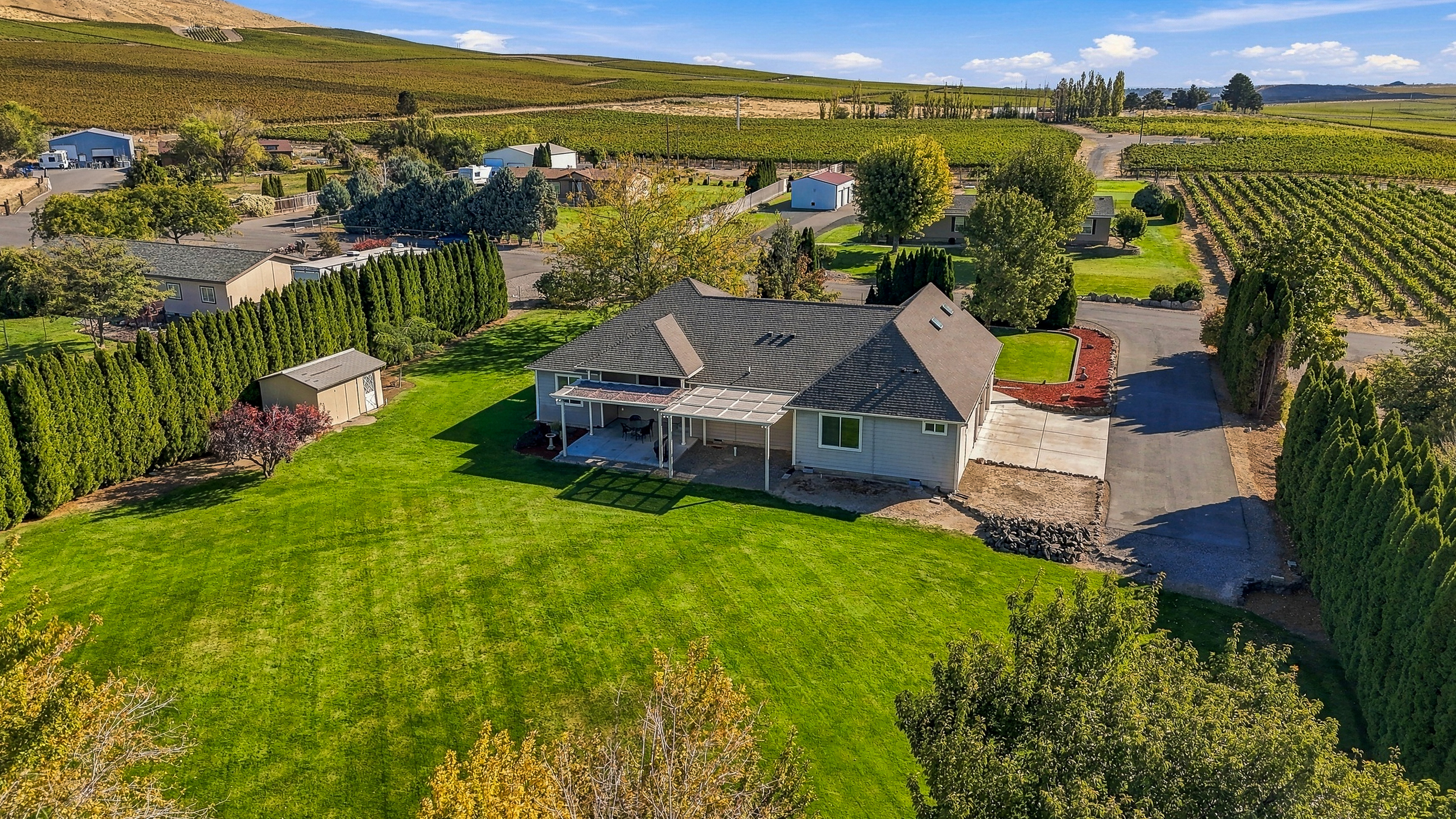  1.25 acres w vineyard views/mountain custom home - 物件實景