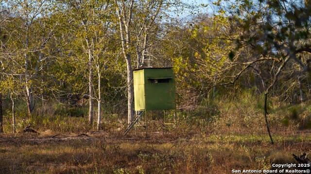 Other, 11111, United States, ,Land,For Sale,1951420