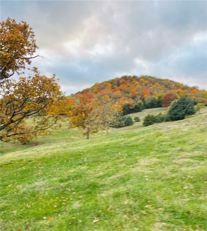 Berryville, Arkansas, 72616, United States, 6 Bedrooms Bedrooms, ,4 BathroomsBathrooms,Residential,For Sale,1988341