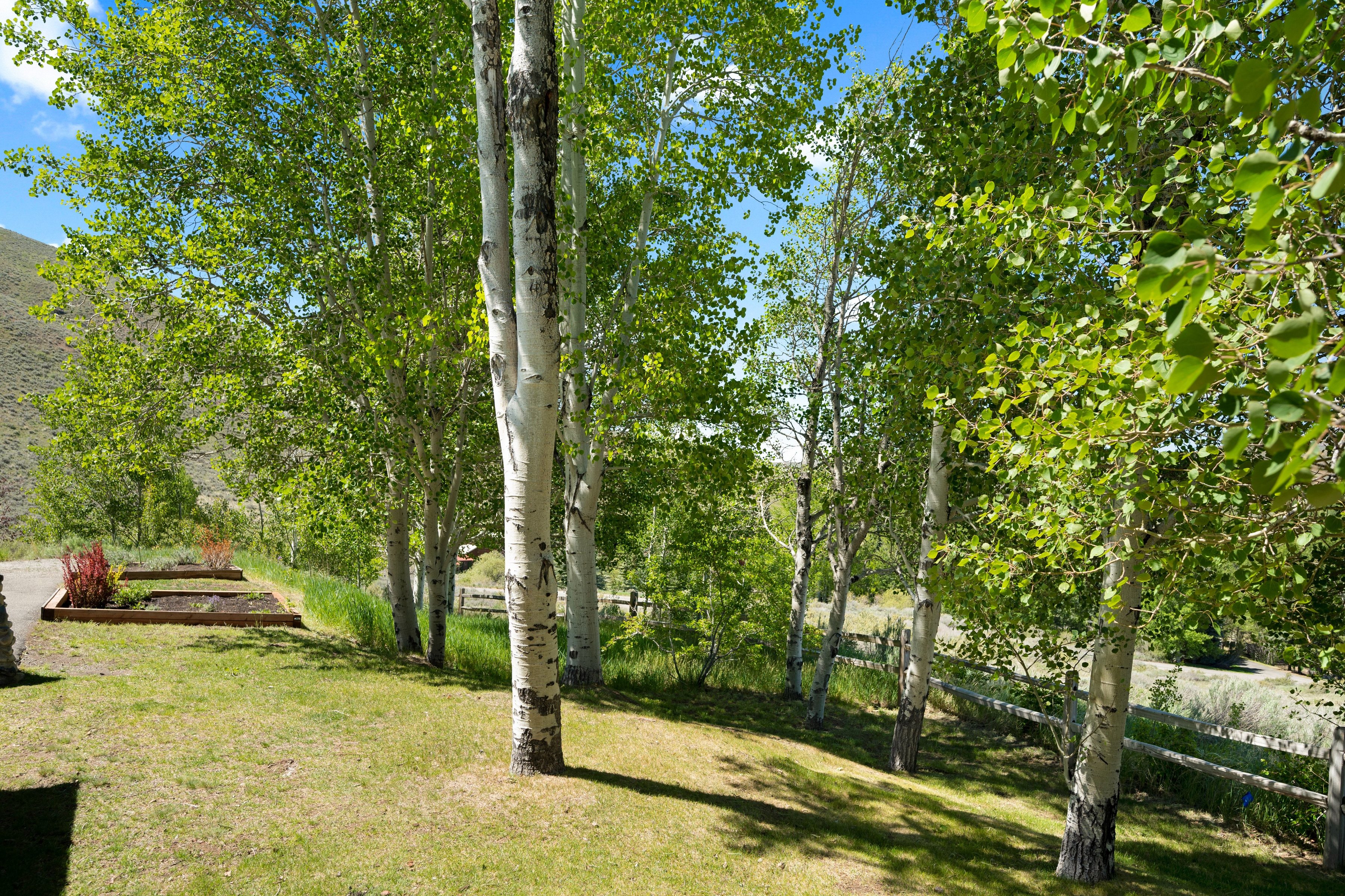  Canyon View Home on 5+ Acres with Pickleball Court - 物件實景