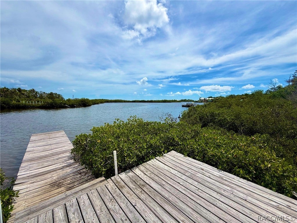 Estuary Dr, Crystal River, FL 34429 #1