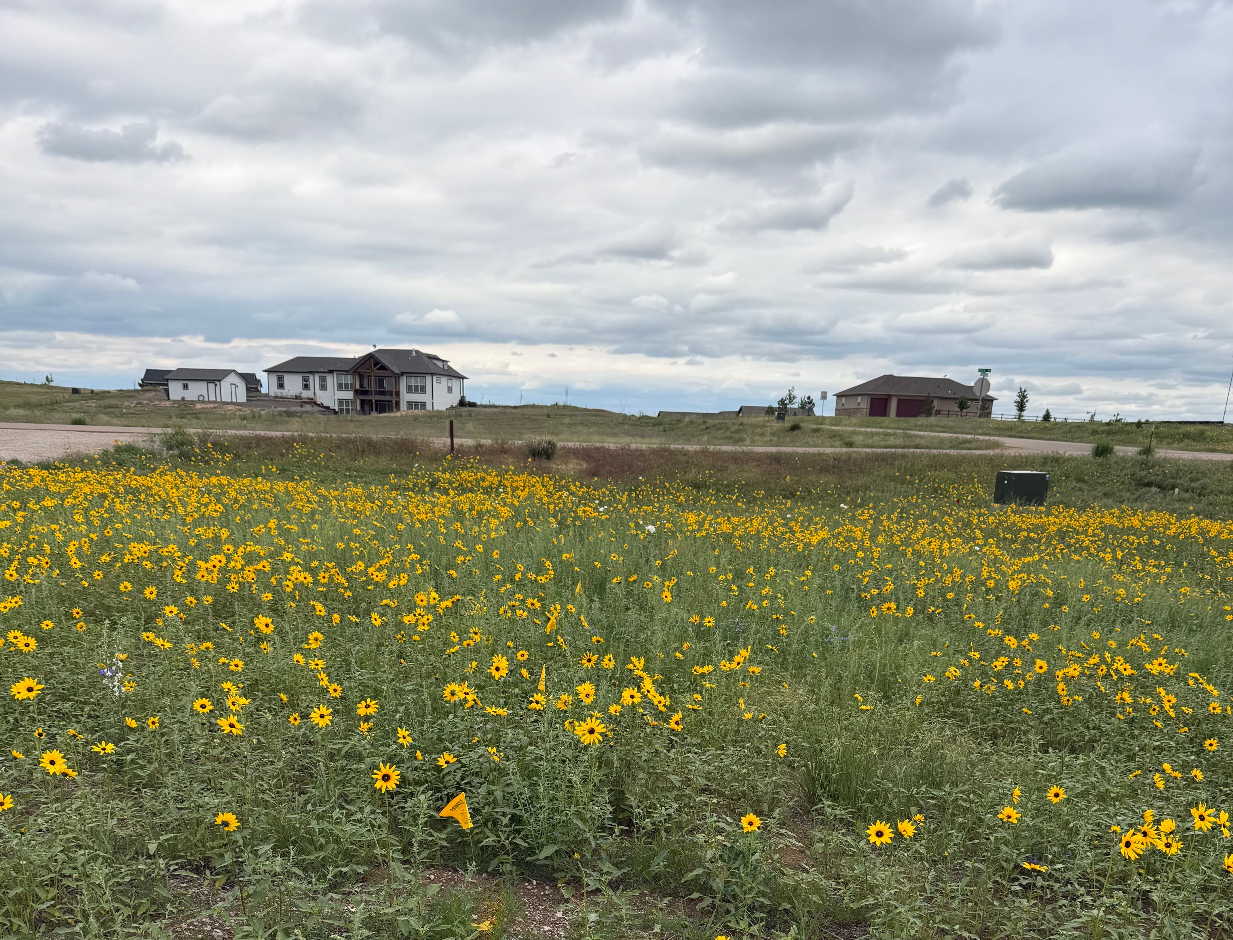  Custom-Built Home in the Highly Sought-After Pelican Lake Ranch Community - 物件實景