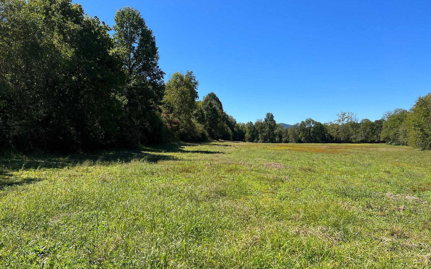 Hayesville, North Carolina, 28904, United States, ,Residential,For Sale,1943293