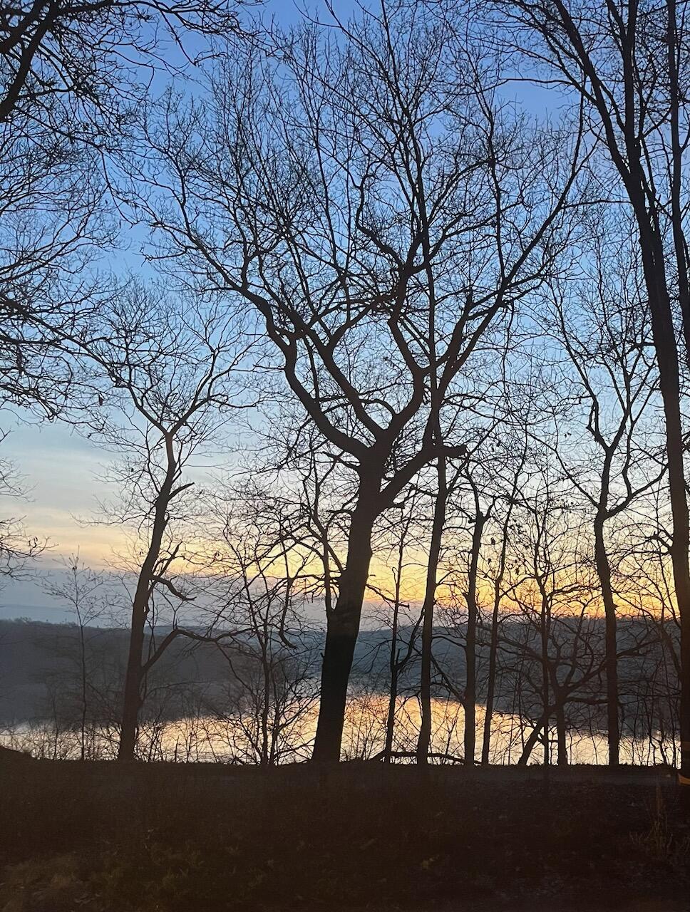 Lowell, Michigan, 49331, United States, 2 Bedrooms Bedrooms, ,2 BathroomsBathrooms,Residential,For Sale,1987591