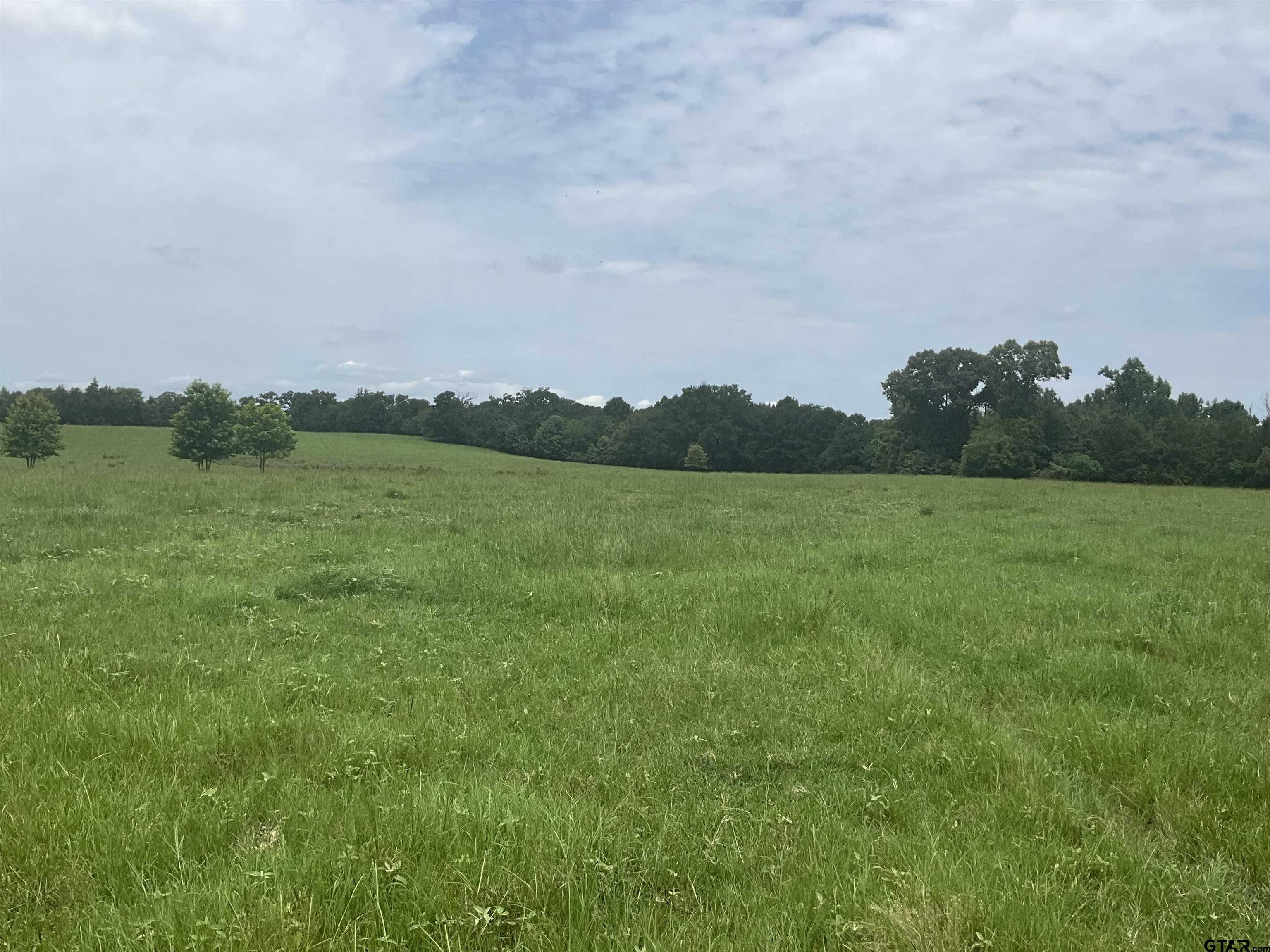 Pittsburg, Texas, 75686, United States, ,Land,For Sale,1976624