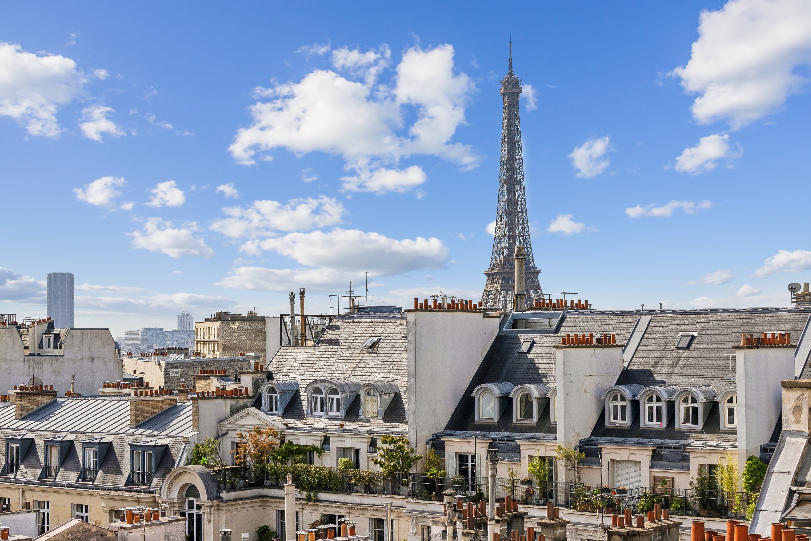  Apartment with terraces / Victor Hugo - Arc de Triomphe - 物件實景