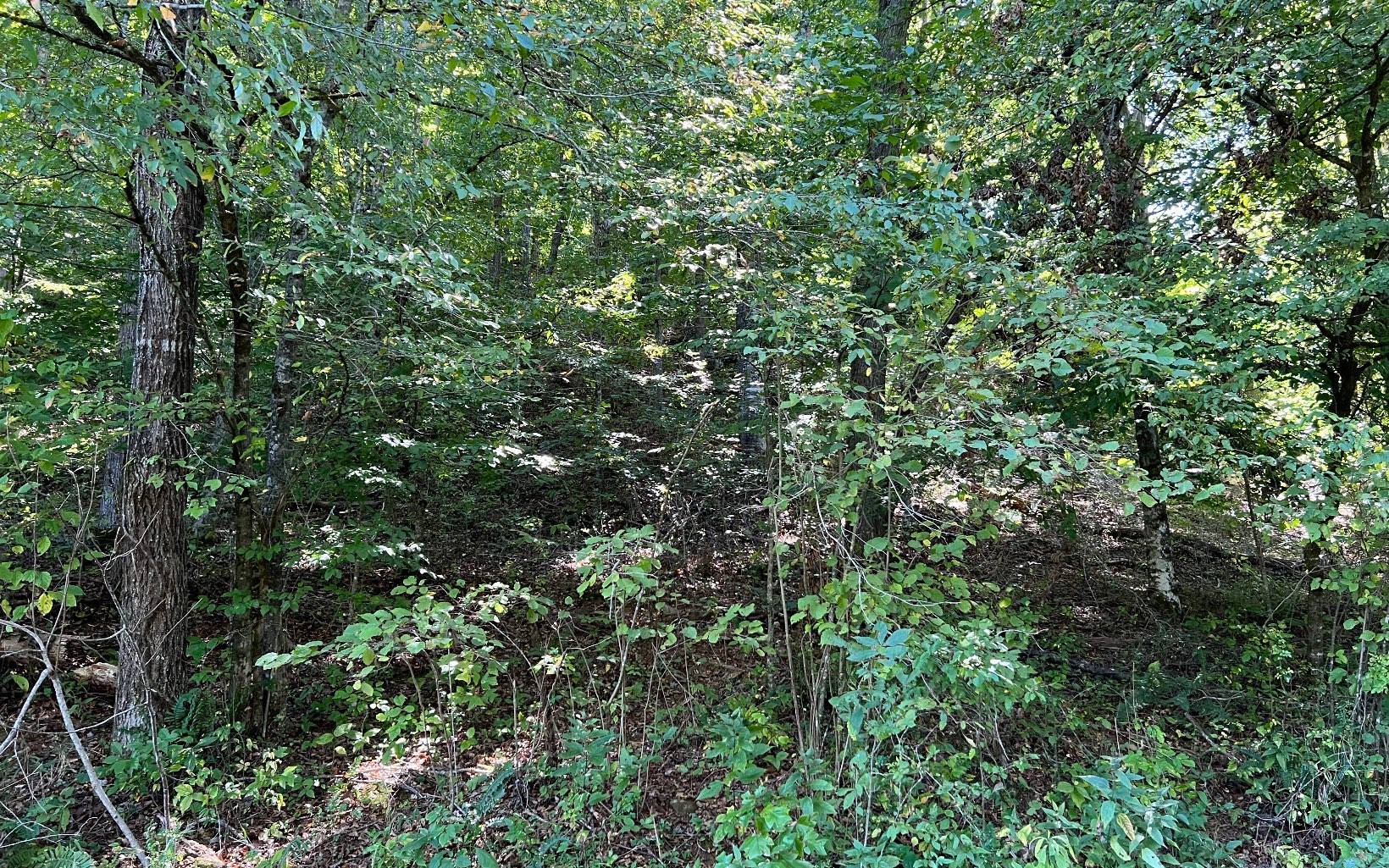 Hayesville, North Carolina, 28904, United States, ,Residential,For Sale,1943293