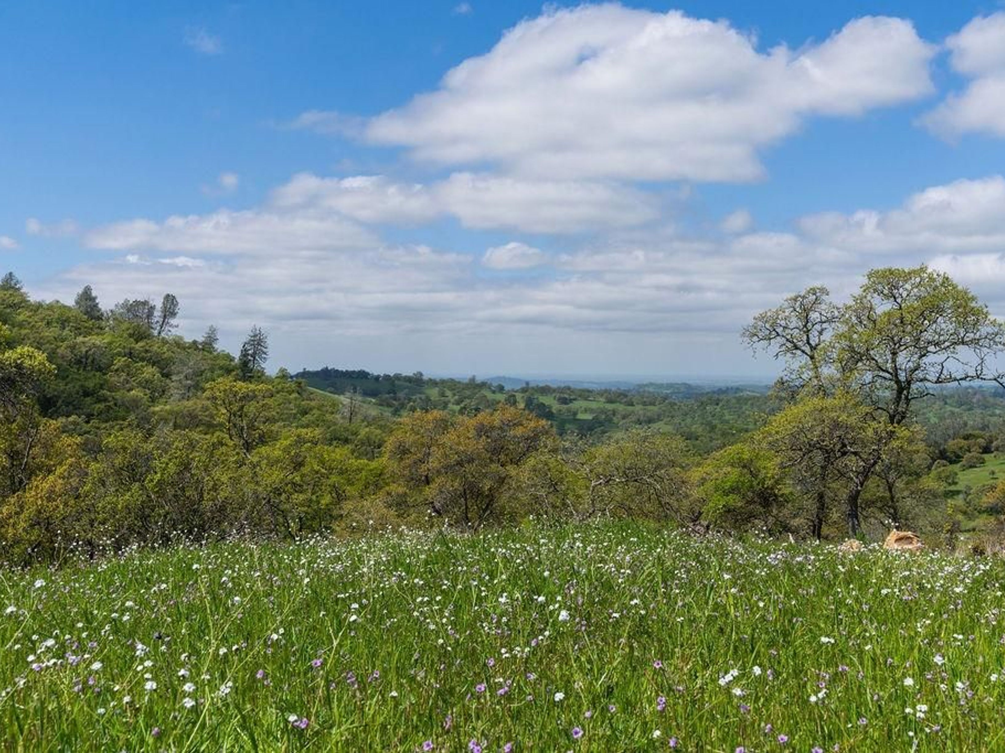  10865 Sunset Drive, Sutter Creek, CA 95685 - 物件實景
