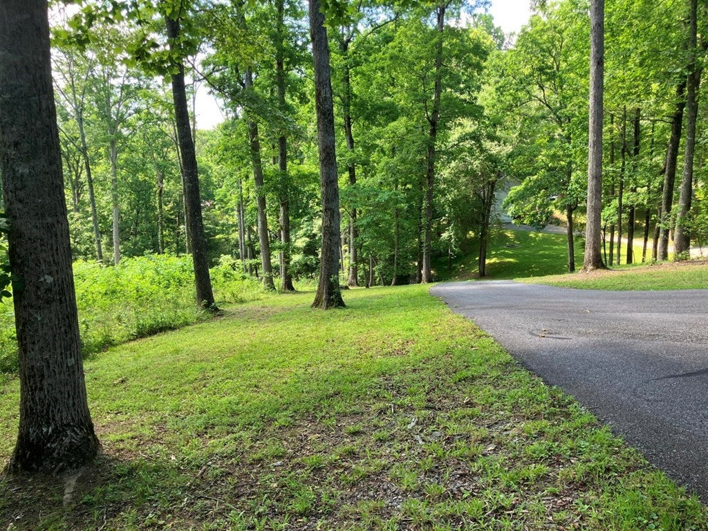 Young Harris, Georgia, 30582, United States, 3 Bedrooms Bedrooms, ,3 BathroomsBathrooms,Residential,For Sale,1847113