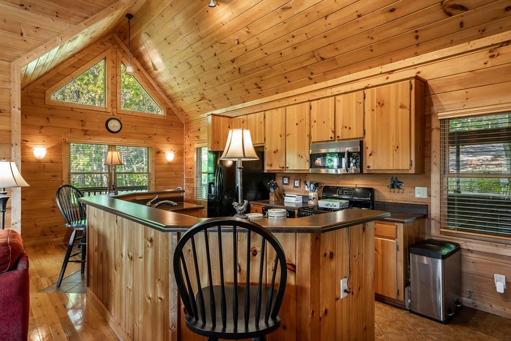 Mineral Bluff, Georgia, 30559, United States, 3 Bedrooms Bedrooms, ,3 BathroomsBathrooms,Residential,For Sale,1805584