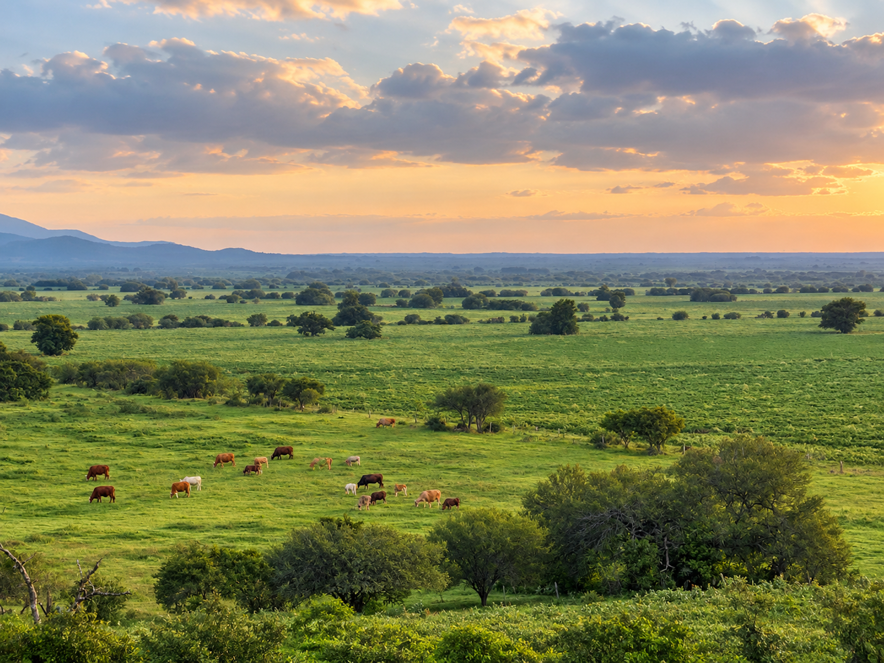  Expansive Ranch with Agricultural Land and Water Resources - 物件實景