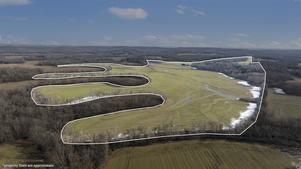Lewisburg, Kentucky, 42256, United States, ,Land,For Sale,1688645