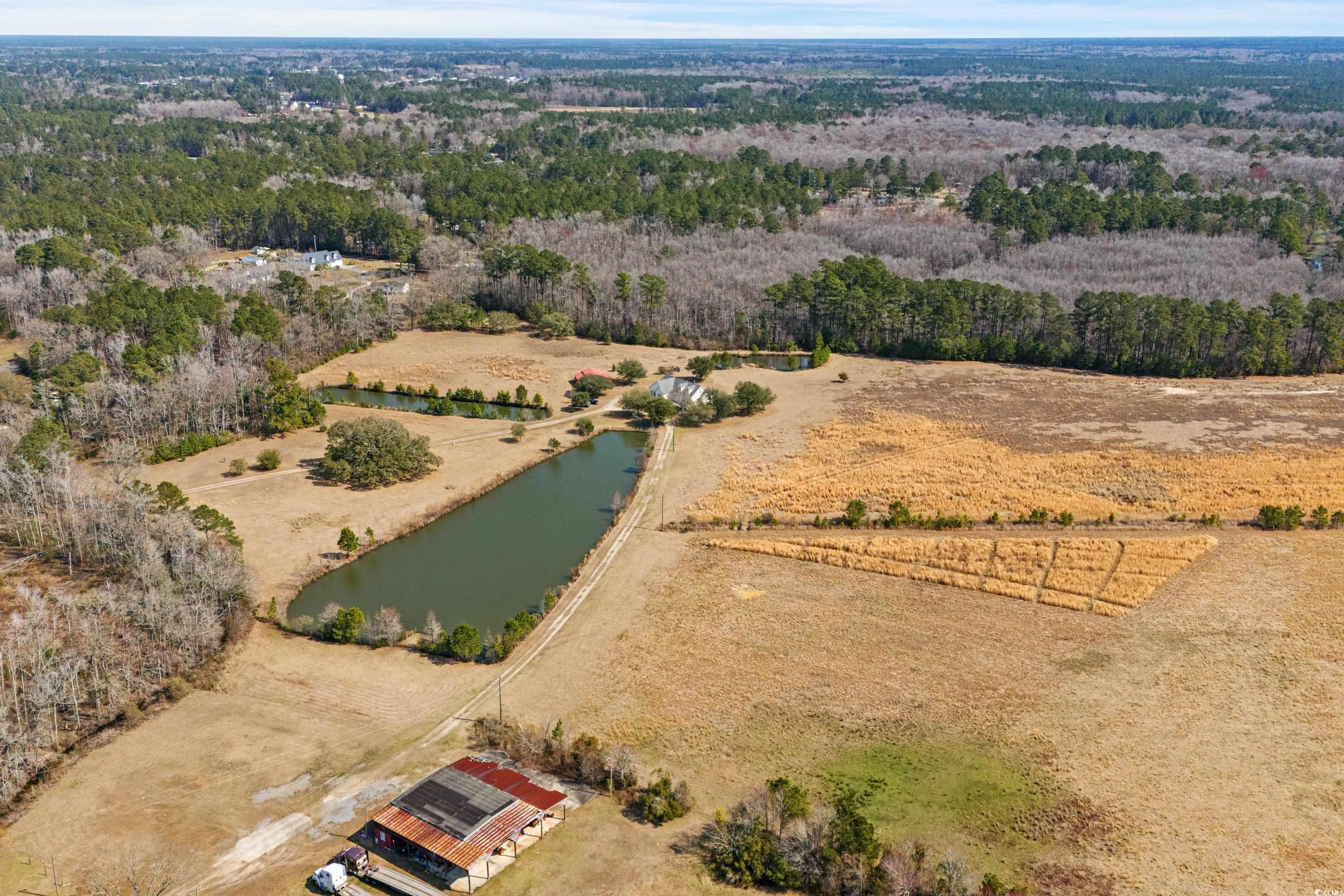 Longs, South Carolina, 29568, United States, ,Land,For Sale,1838298