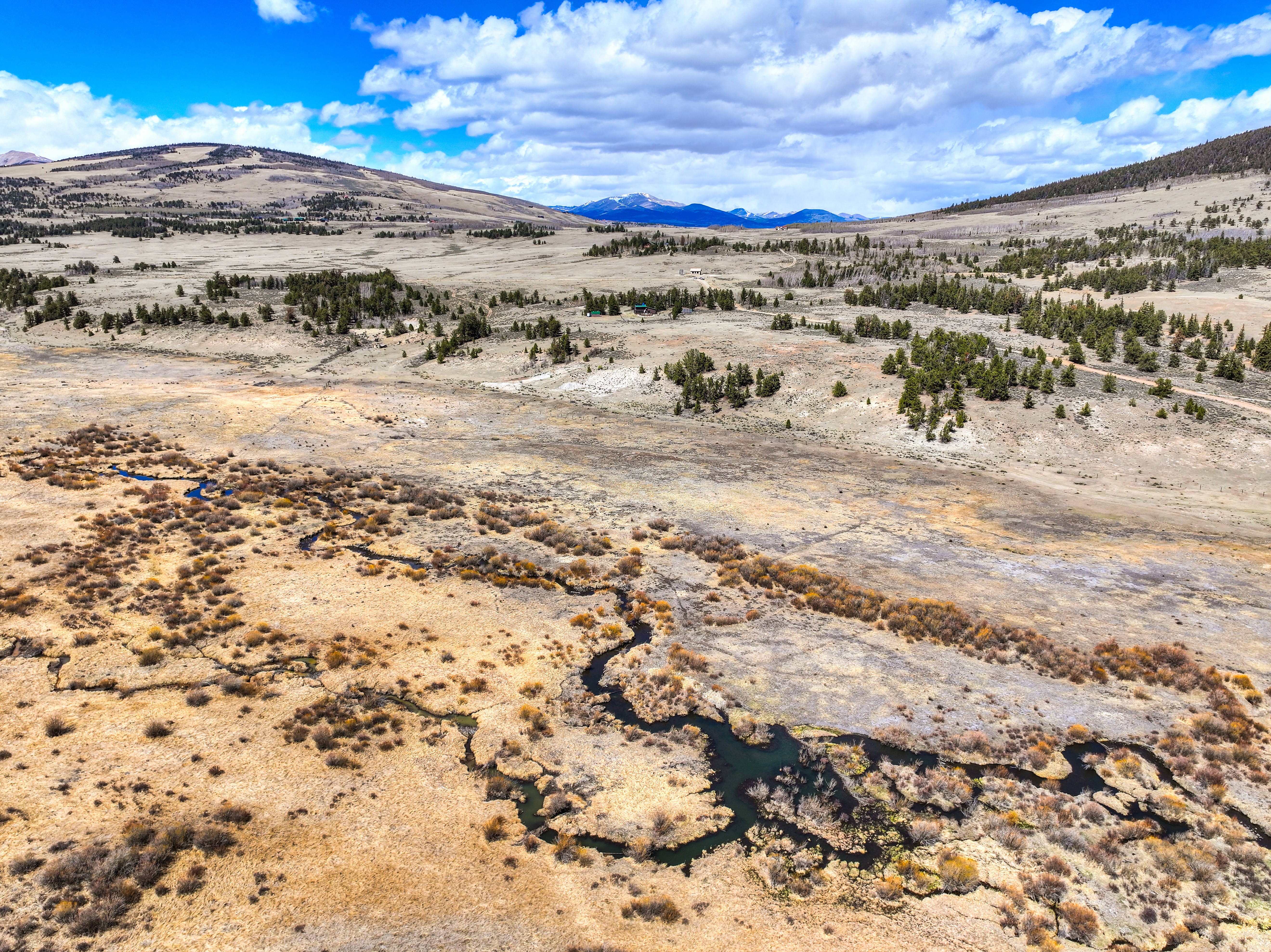  2867 Willow Creek Lane, Fairplay, CO, 80440 - 物件實景