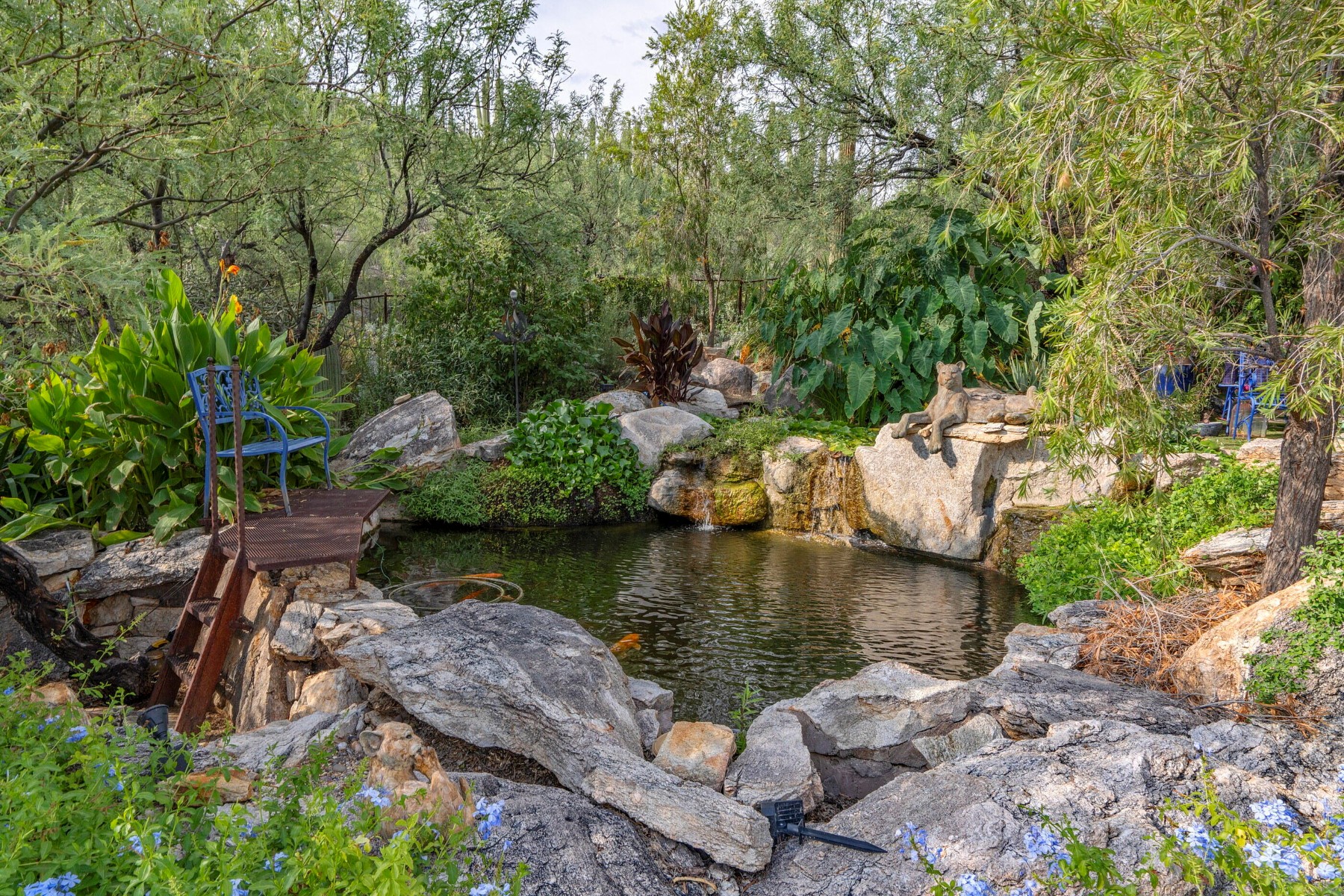  12536 E Mira Vista Canyon Place¦Tucson, AZ - 物件實景