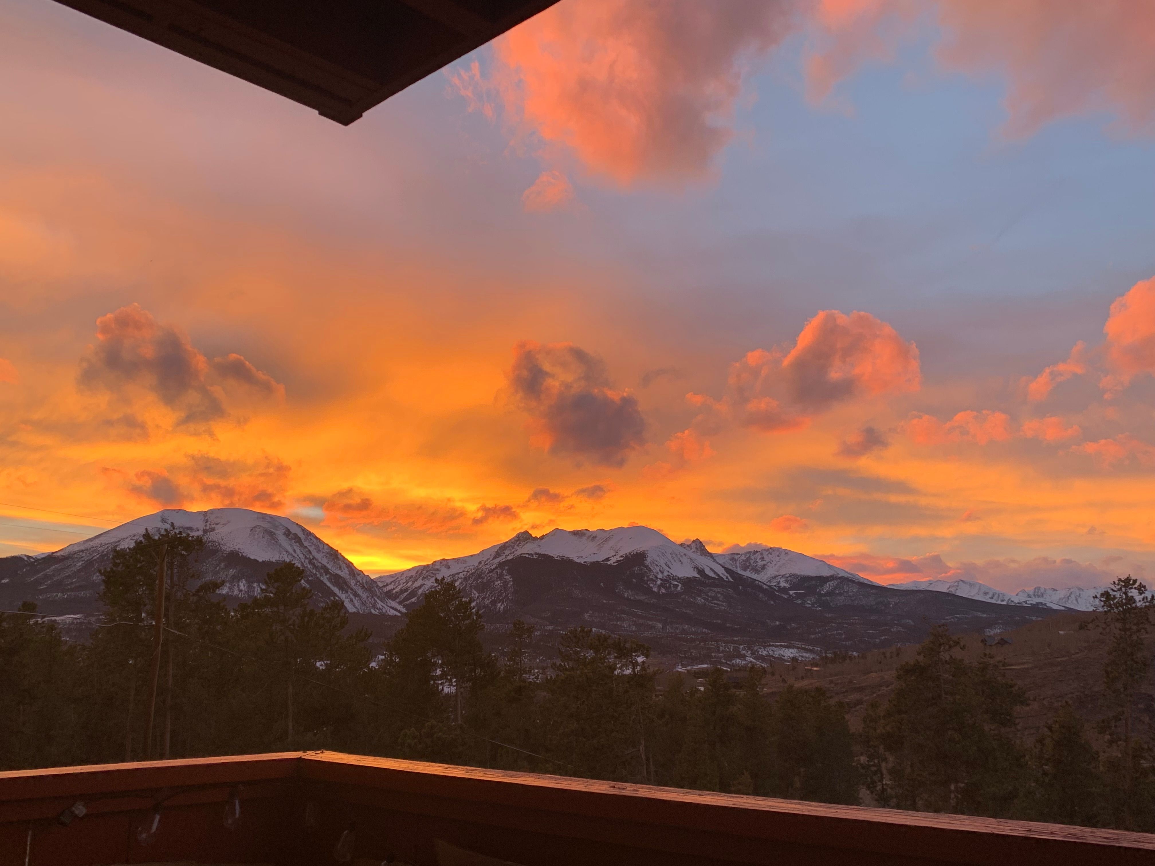  Dillon Valley Condo A-201 - 物件實景