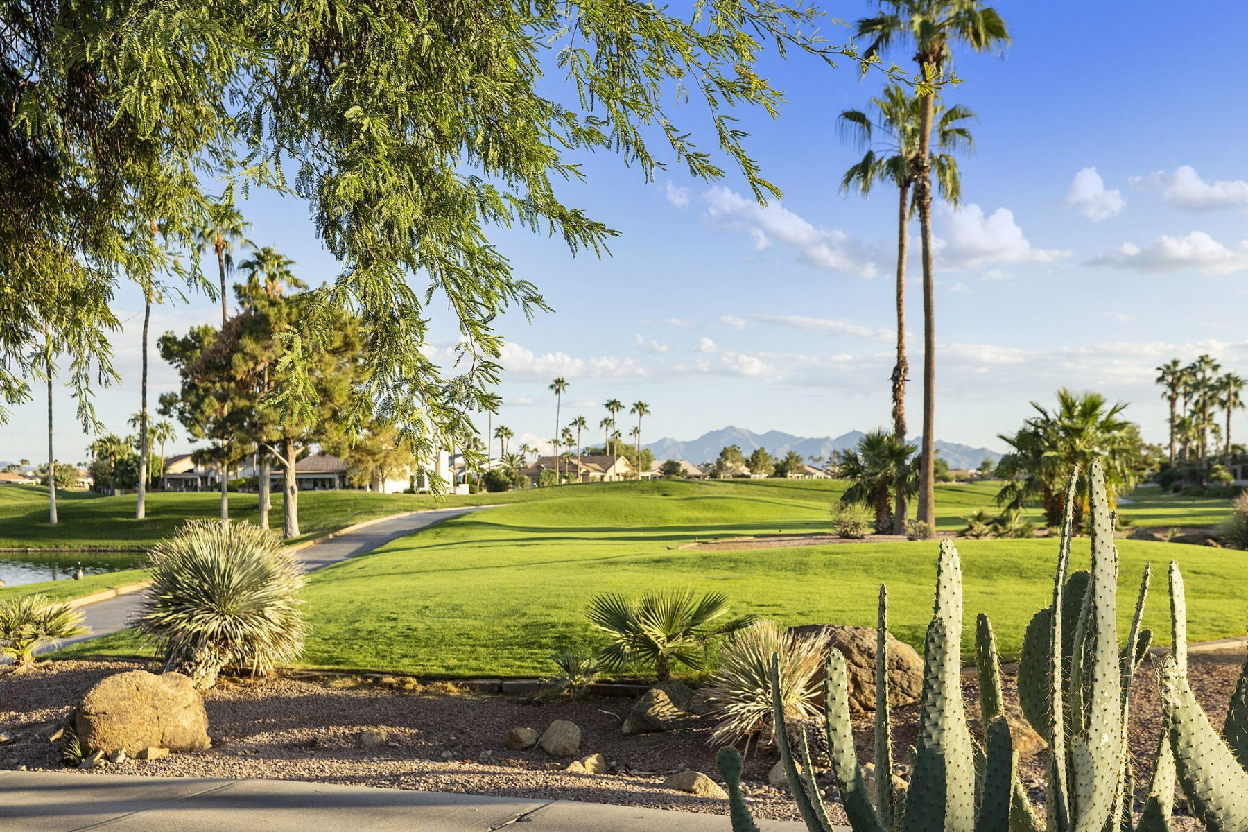  3365 N 153rd Drive¦Goodyear, AZ - 物件實景