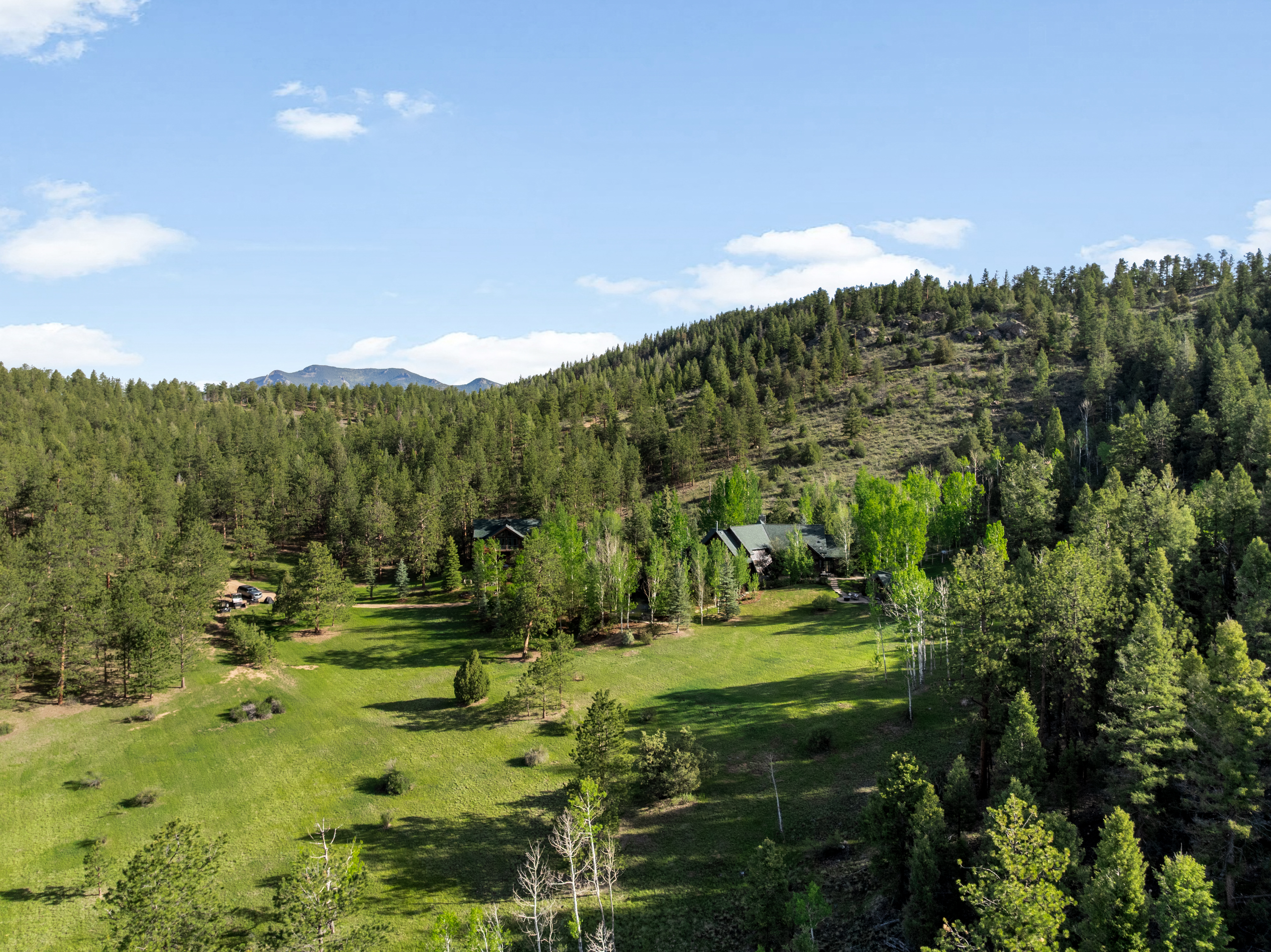  .275 acres of rolling grass, towering trees, & mountain views in every direction - 物件實景