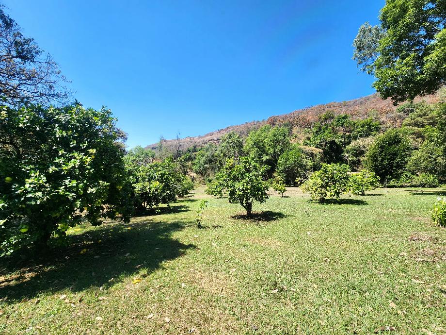 Temascaltepec, Estado de méxico, 51300, Mexico, 7 Bedrooms Bedrooms, ,7 BathroomsBathrooms,Residential,For Sale,1942225