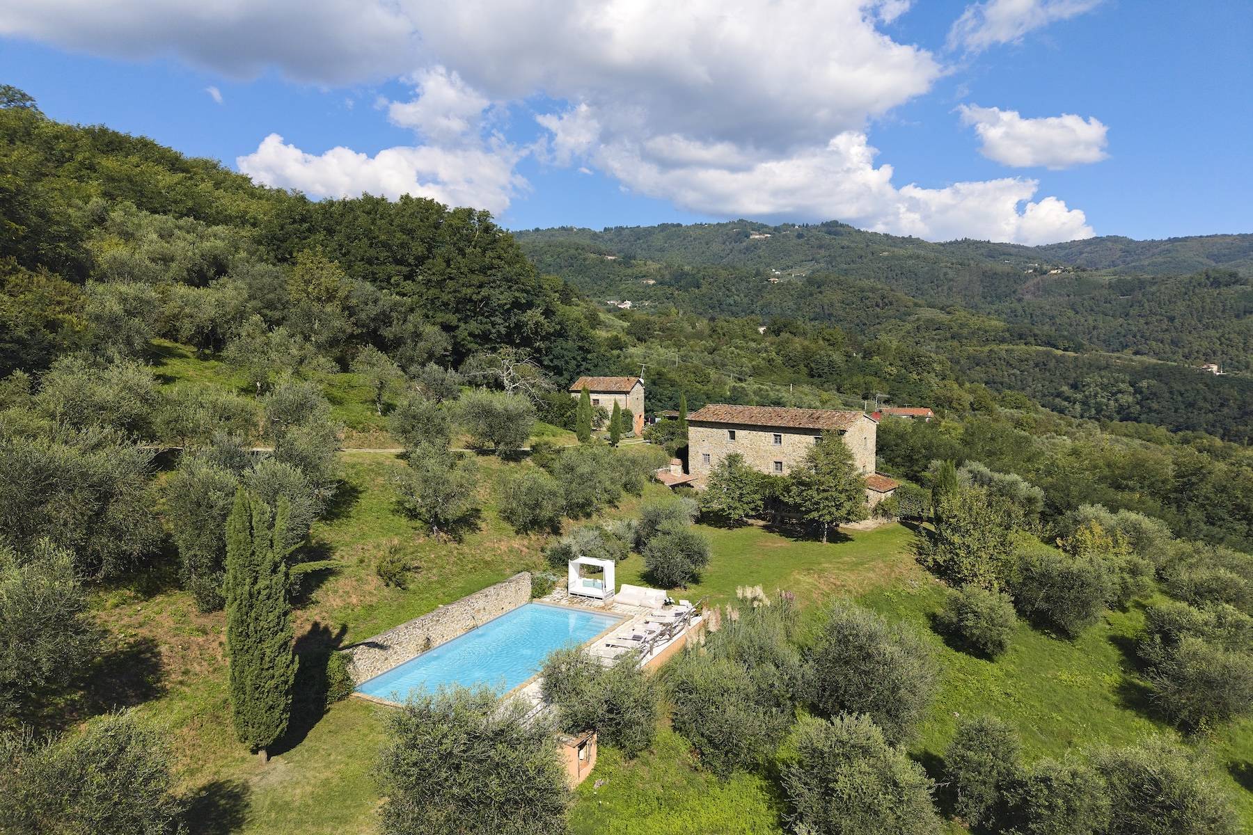  Authentic estate in the tuscan countryside - 物件實景