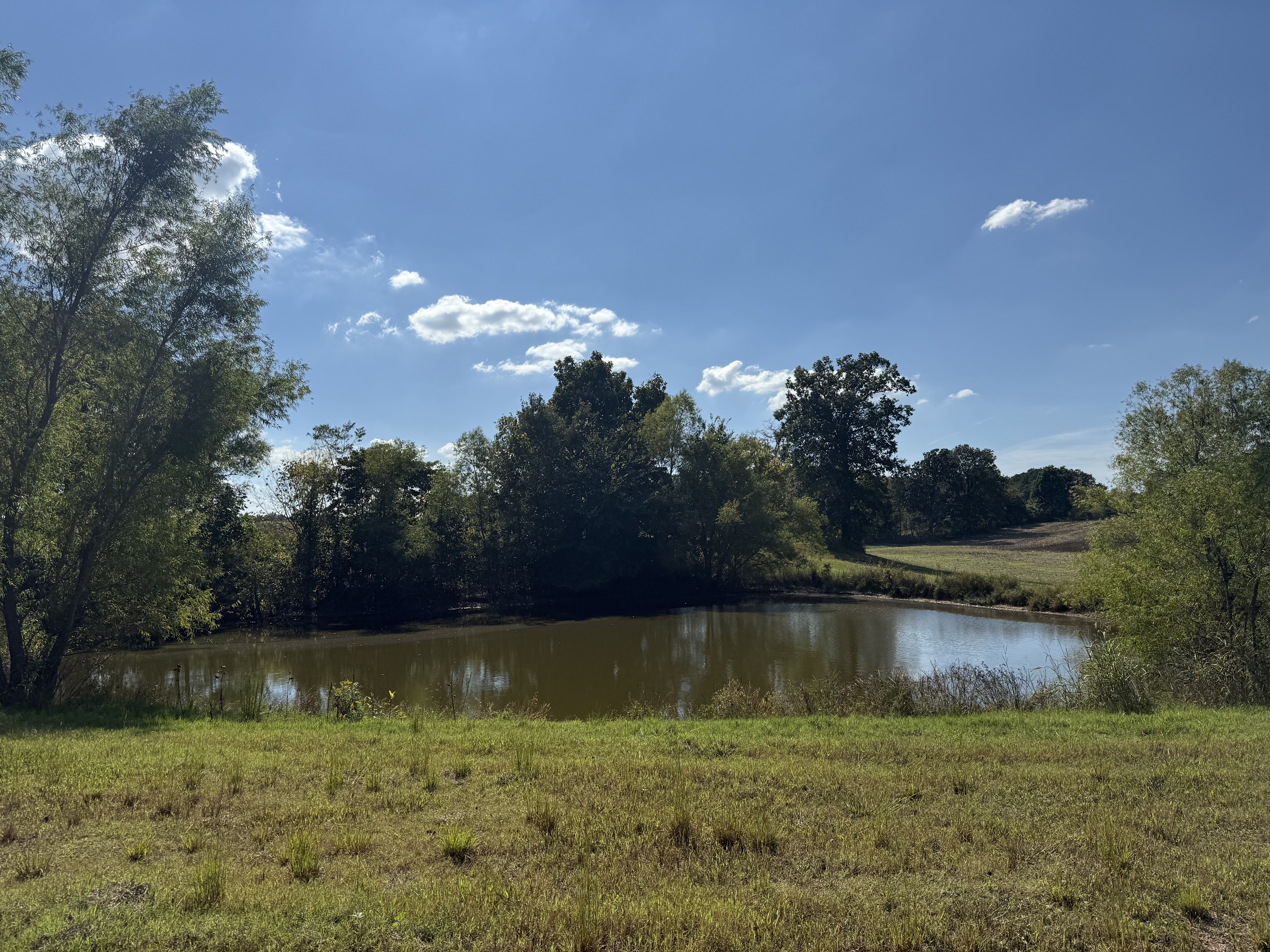 Union City, Tennessee, 38261, United States, ,Land,For Sale,1983547