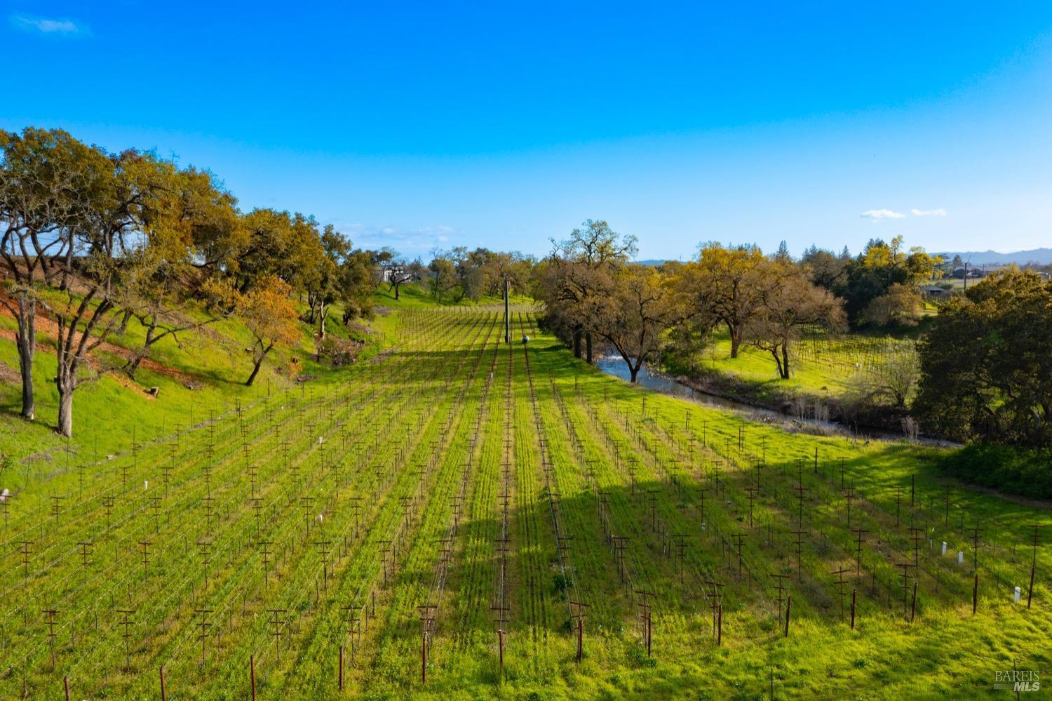Napa, California, 94558, United States, 8 Bedrooms Bedrooms, ,9 BathroomsBathrooms,Residential,For Sale,1729911